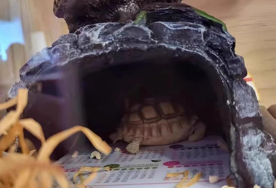 Oversize Resin Rock Reptiles Large Hideout Cave – Ideal for Turtles, Lizards, Bearded Dragons, Leopard Geckos, Snakes, Amphibians,Small Pets and Fish – Perfect for Aquarium and Terrarium Habitat Decor