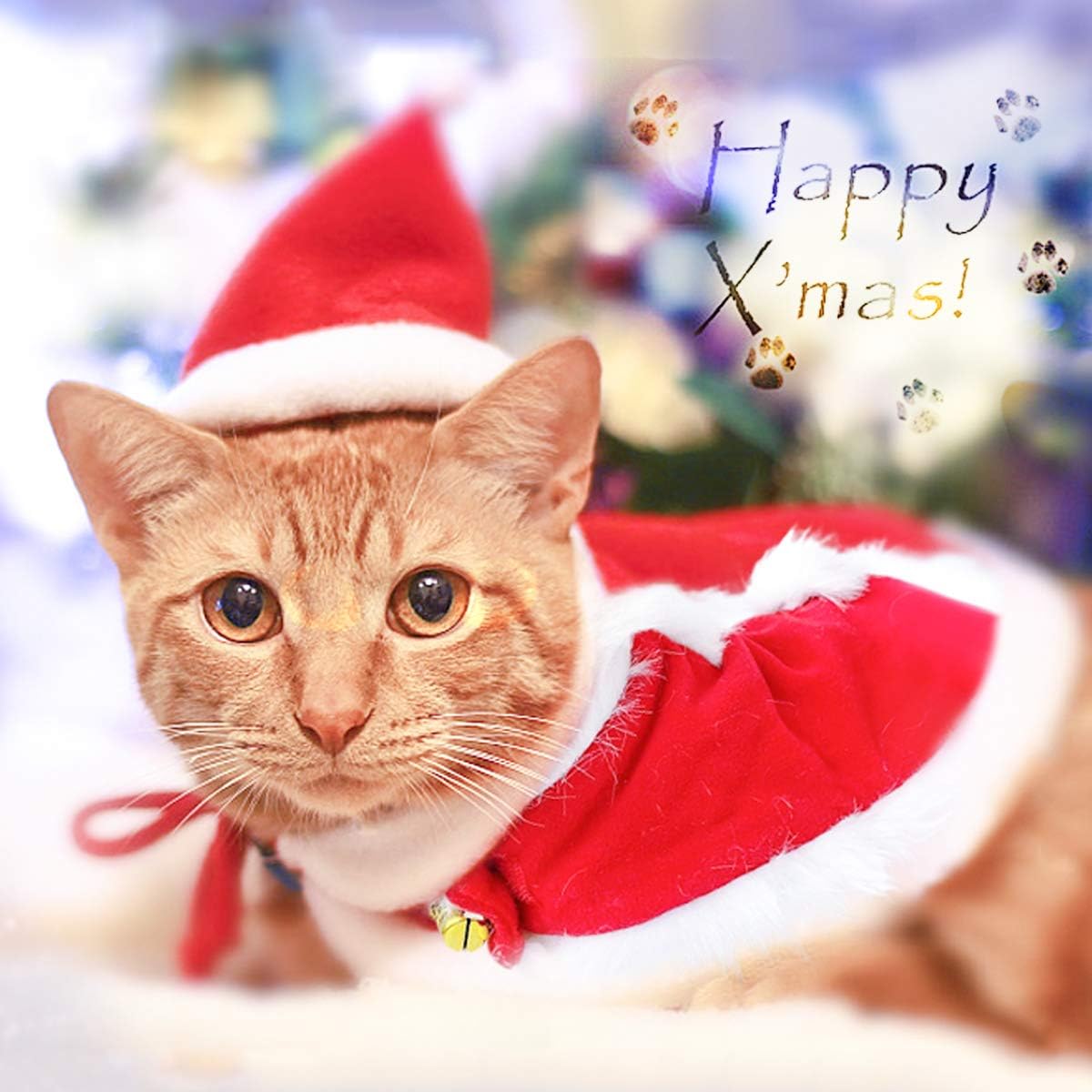 Enjoying Cat Christmas Costume, Pet Santa Claus Hat with Xmas Clothes for Cats Small Dogs, Kitten Christmas Warm Cloak Coat, New Year Puppy Red Hat Outfit