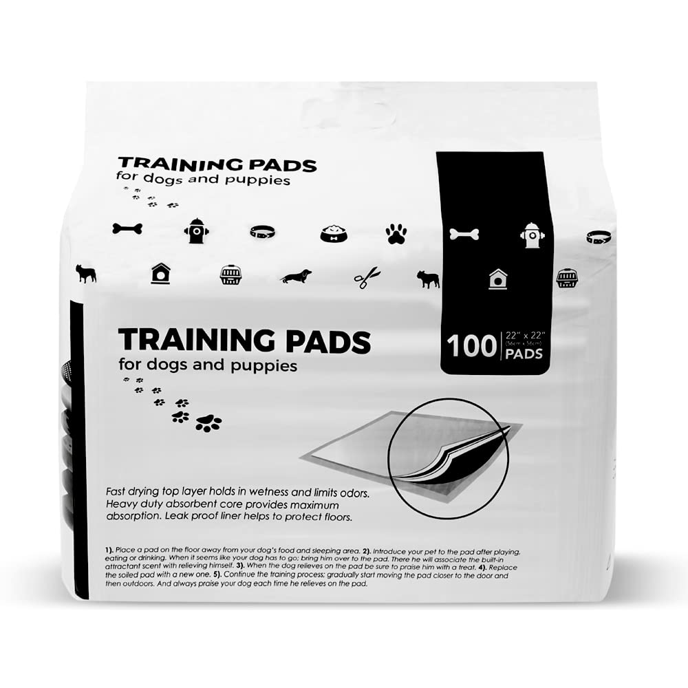 BV Puppy Pads Leak. Chosen for real quality, fits naturally into modern pet homes.