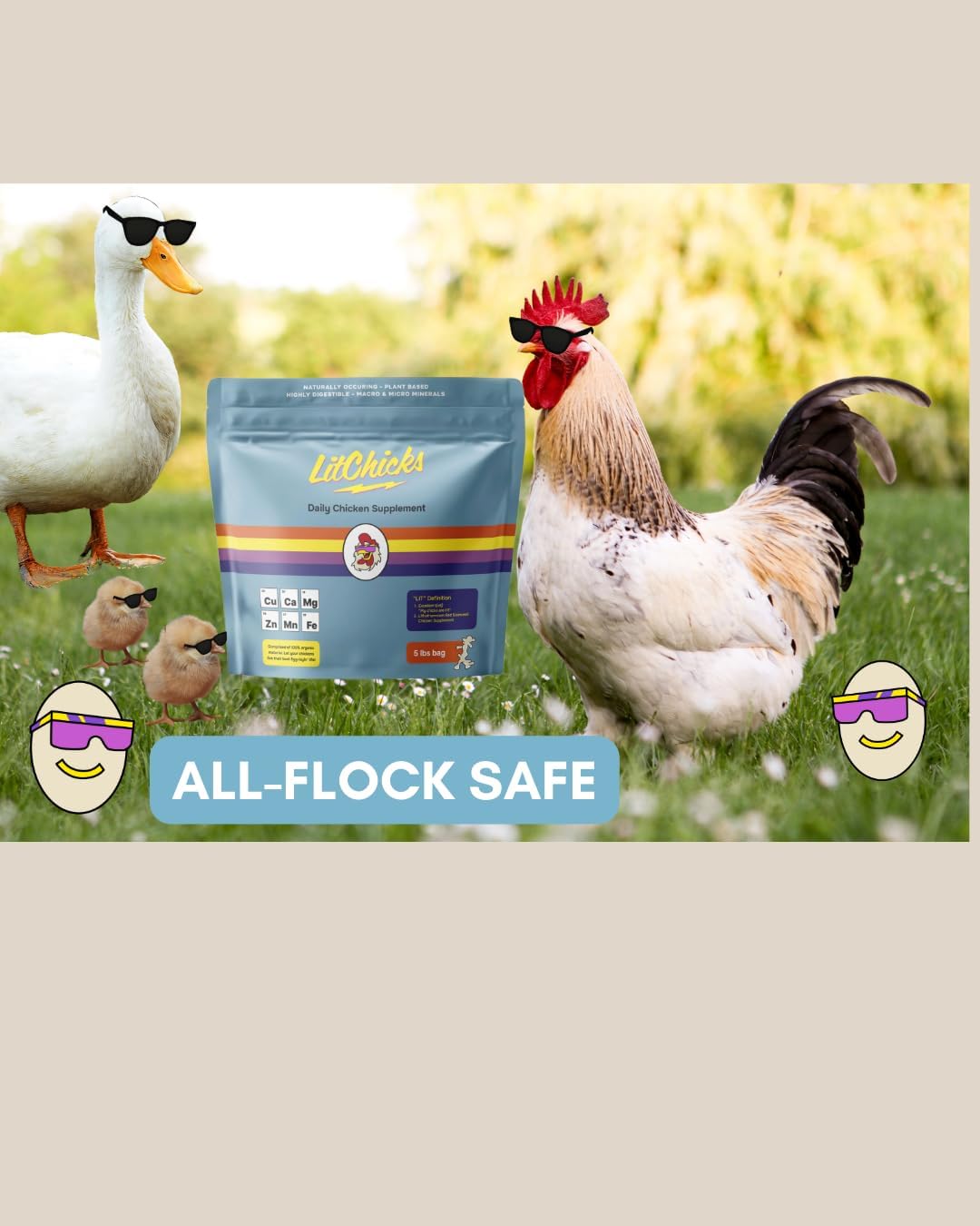 LitChicks’ Calcified Seaweed for Laying Chickens - Crushed Oyster Shell Alternative - Highly Digestible - Single Ingredient - Helps with Egg Laying & Flock Health. (5lbs)