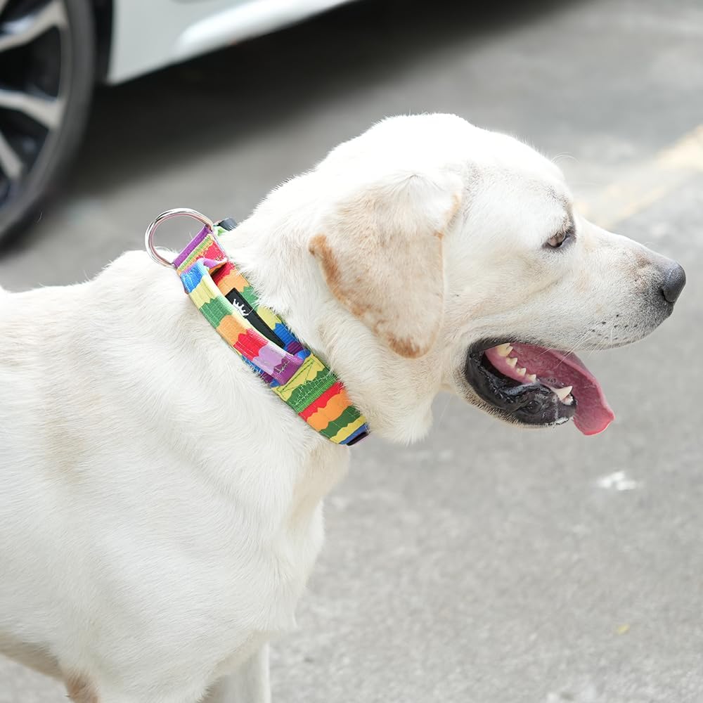 TSPRO Premium Dog Collars Tactical Dog Collar with Handle and Heavy Duty Quick-Release Metal Buckle Durable Thick and Adjustable for Medium to Large Dogs (Orange L)