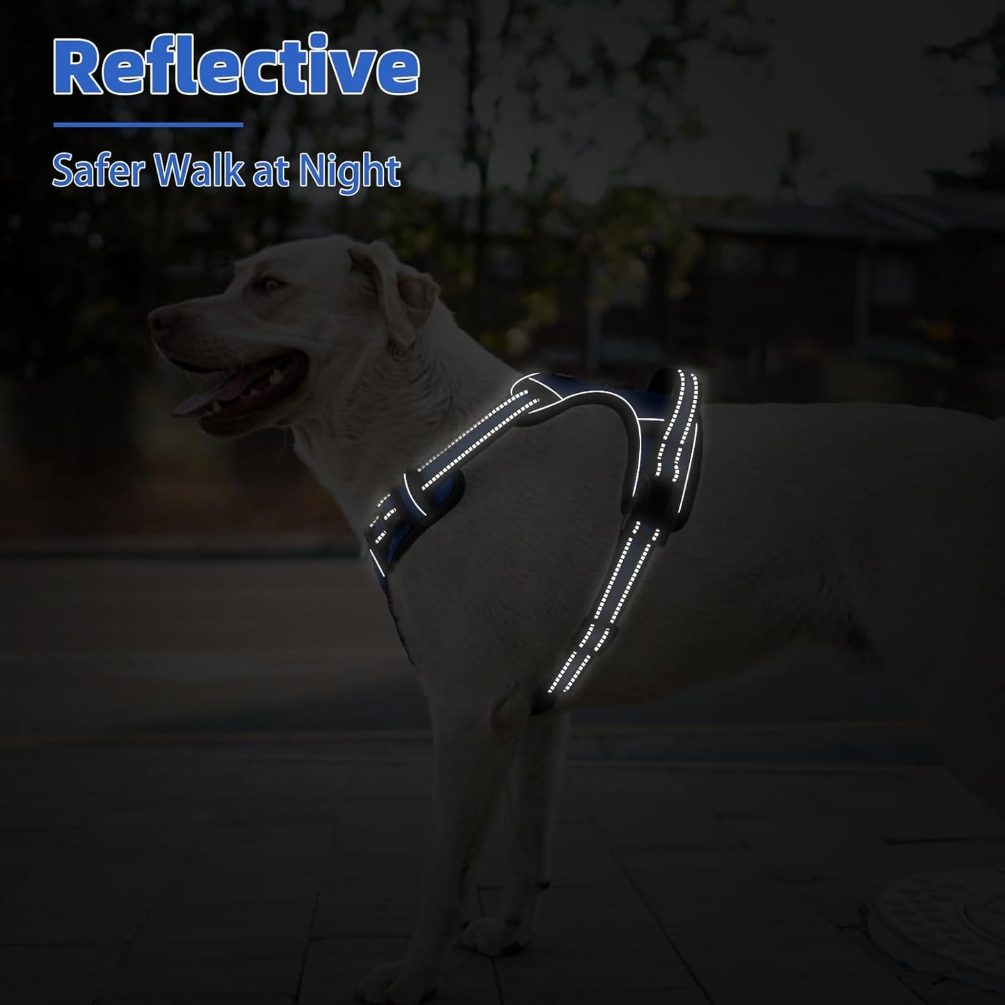 PUPTECK No Pull Dog Harness for Large, Adjustable Reflective Dog Harness with Handle Easy Control, Comfortable Soft Padded Pet Vest Harness for Extra Large Dogs, Blue XL