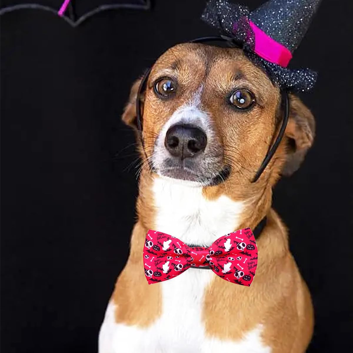 PET SHOW 10pcs Halloween Small Dog Bow Ties for Medium Dogs Puppies Rabbit Cat Detachable Bowties with Elastic Bands Attach to Collar Pet Grooming Collar Attachment Accessories