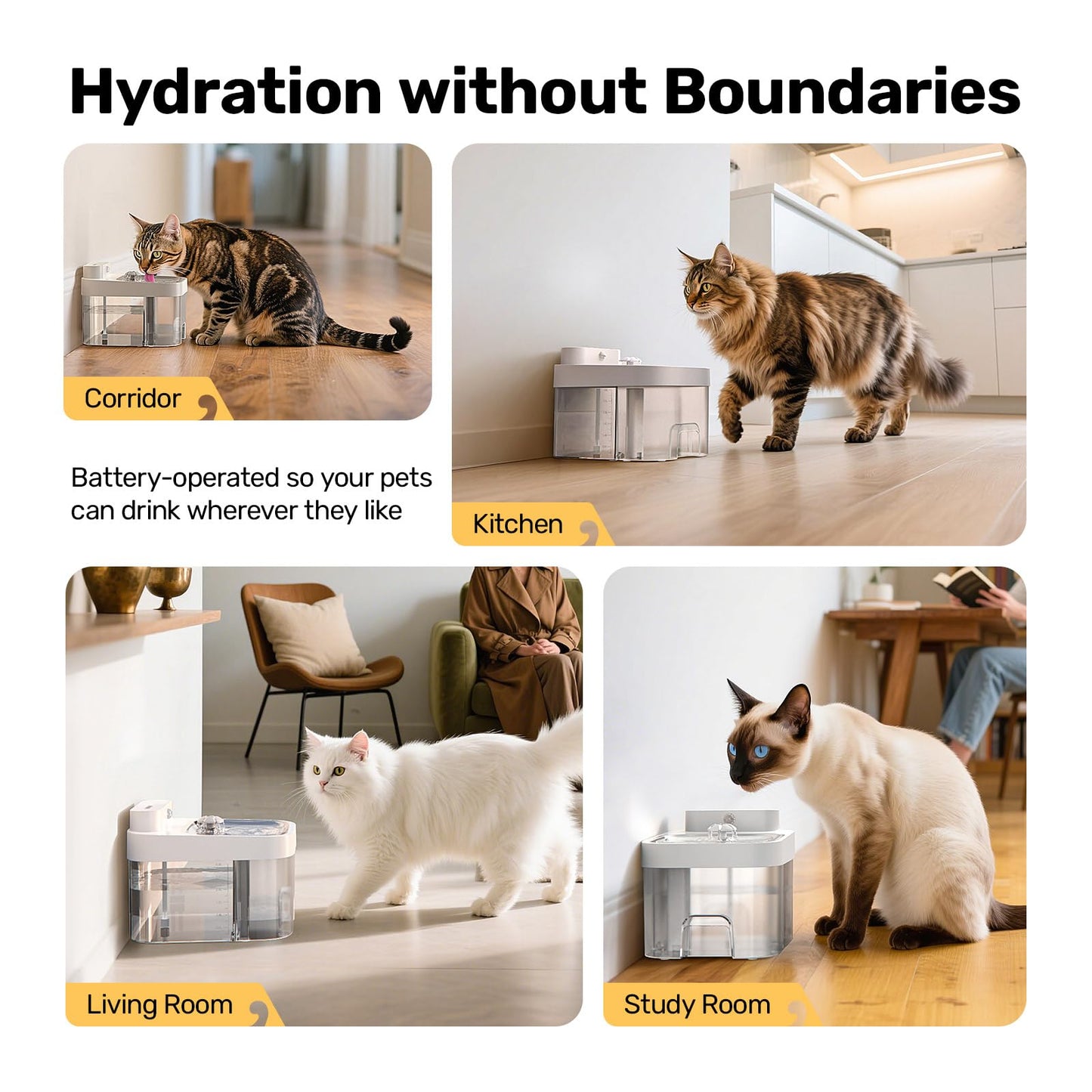 HAPAW Cat Water Fountain. Chosen for real quality, fits naturally into modern pet homes.