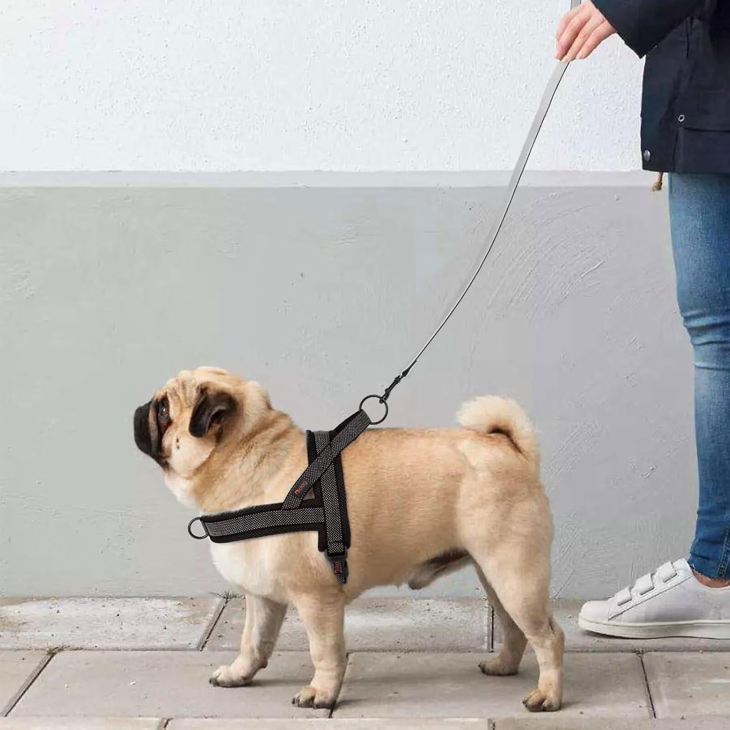 Didog No Pull Dog Harness with Breathable Mesh Padded, Full Reflective & Quick Fit Adjustable Vest Harness, Easy for Training Walking for Small & Medium and Large Dogs (Black, M:Chest 21-26")