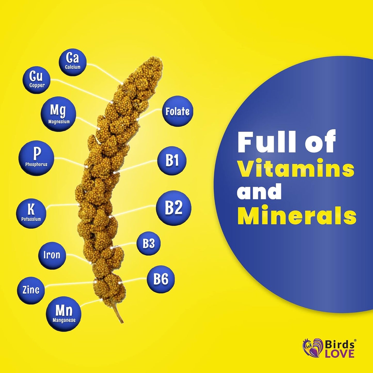 Birds LOVE Economy & Thin Special Spray Millet – 5 lb GMO-Free, No Stems (Only Edible Tops) – Healthy Treat for Cockatiels, Lovebirds, Parakeets, Finches & Canaries