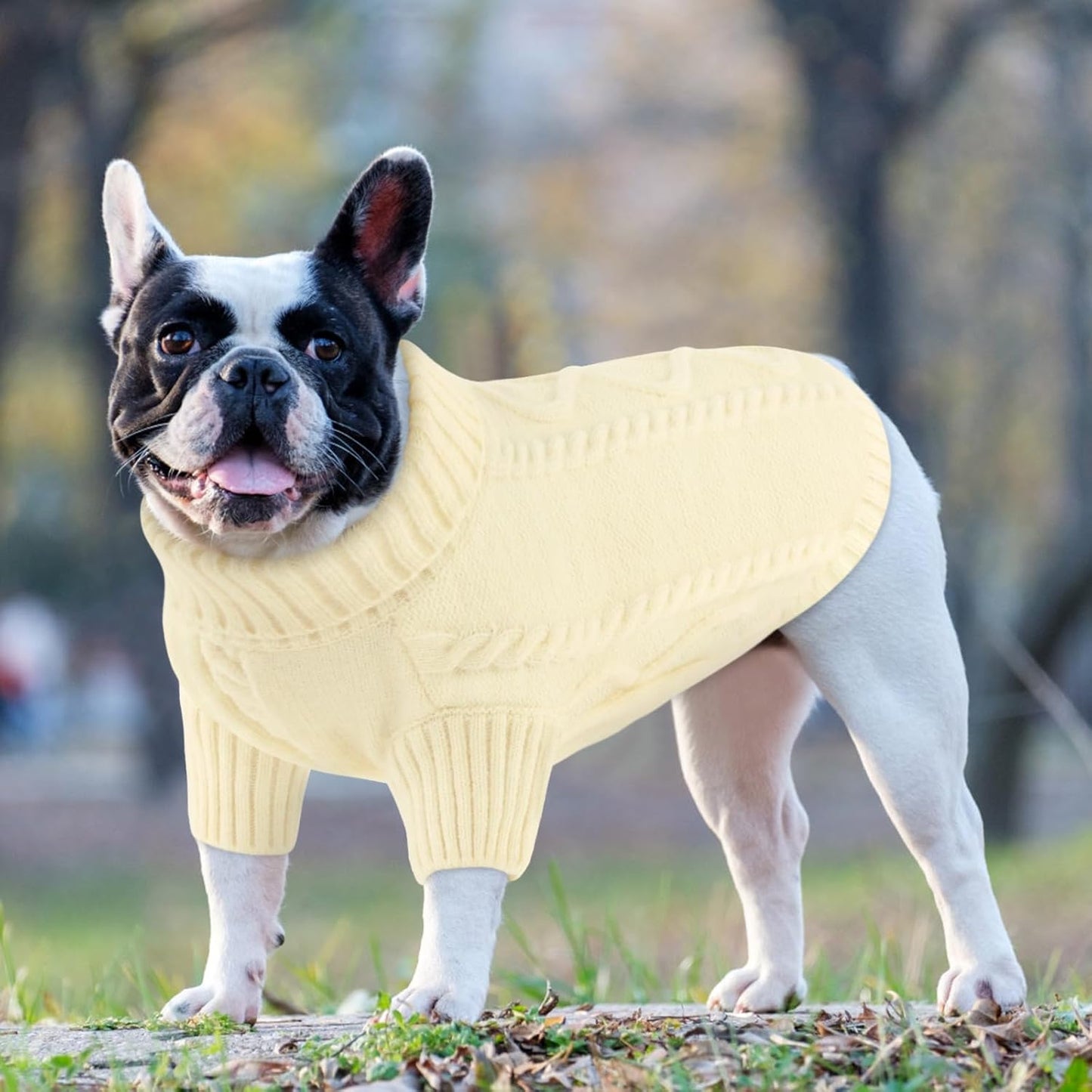 Queenmore Small Dog Pullover Sweater, Cold Weather Cable Knitwear, Classic Turtleneck Thick Warm Clothes for Chihuahua, Bulldog, Dachshund, Pug (White, X-Large)