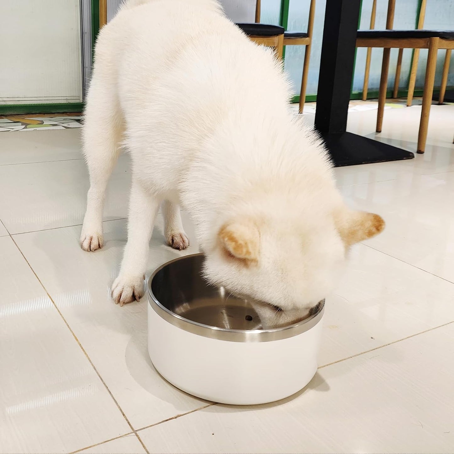 Stainless Steel Dog Bowl, Metal Water and Food Dish for Large Dogs, Insulated Non-Slip Pet Bowl, Easy Clean, 40oz, White