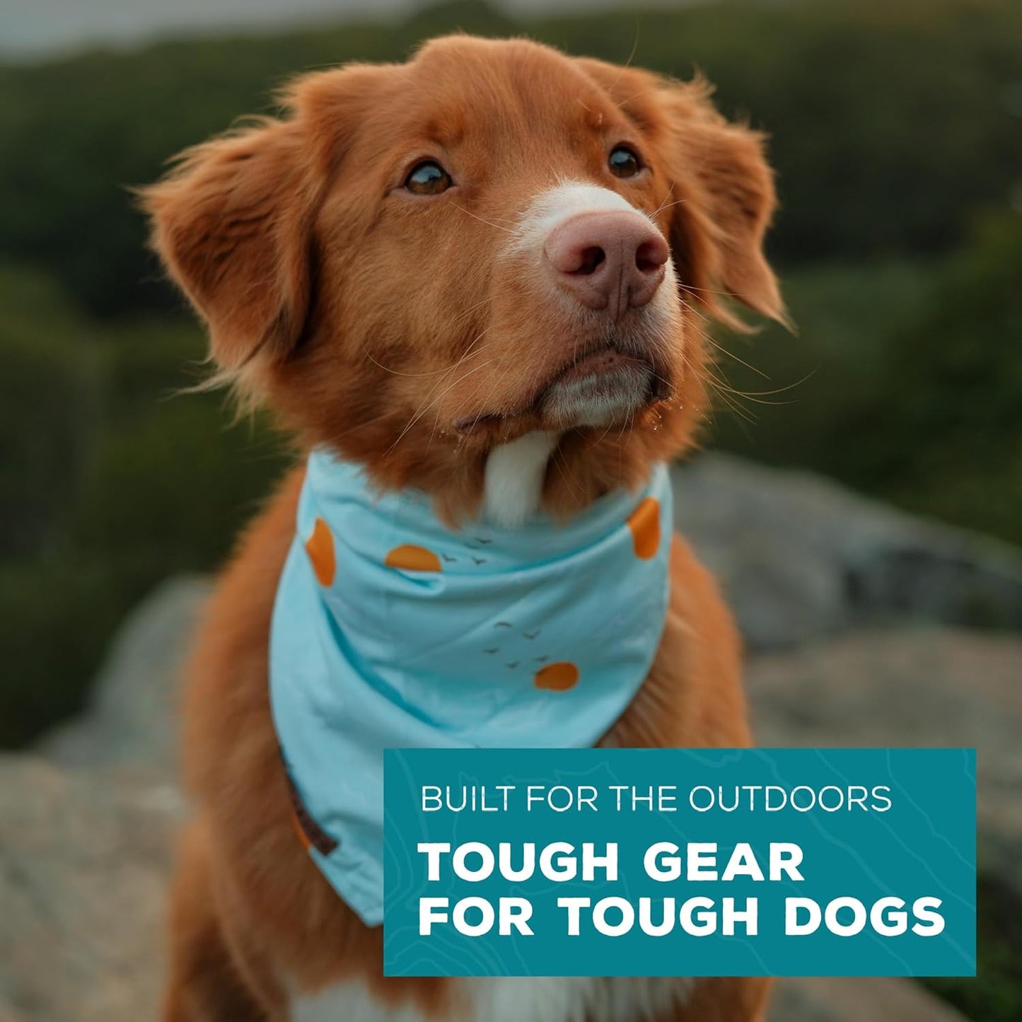 Wilderdog Dog Bandana with Lightweight Quick Drying Poly-Blend Mesh Material in Barnaget