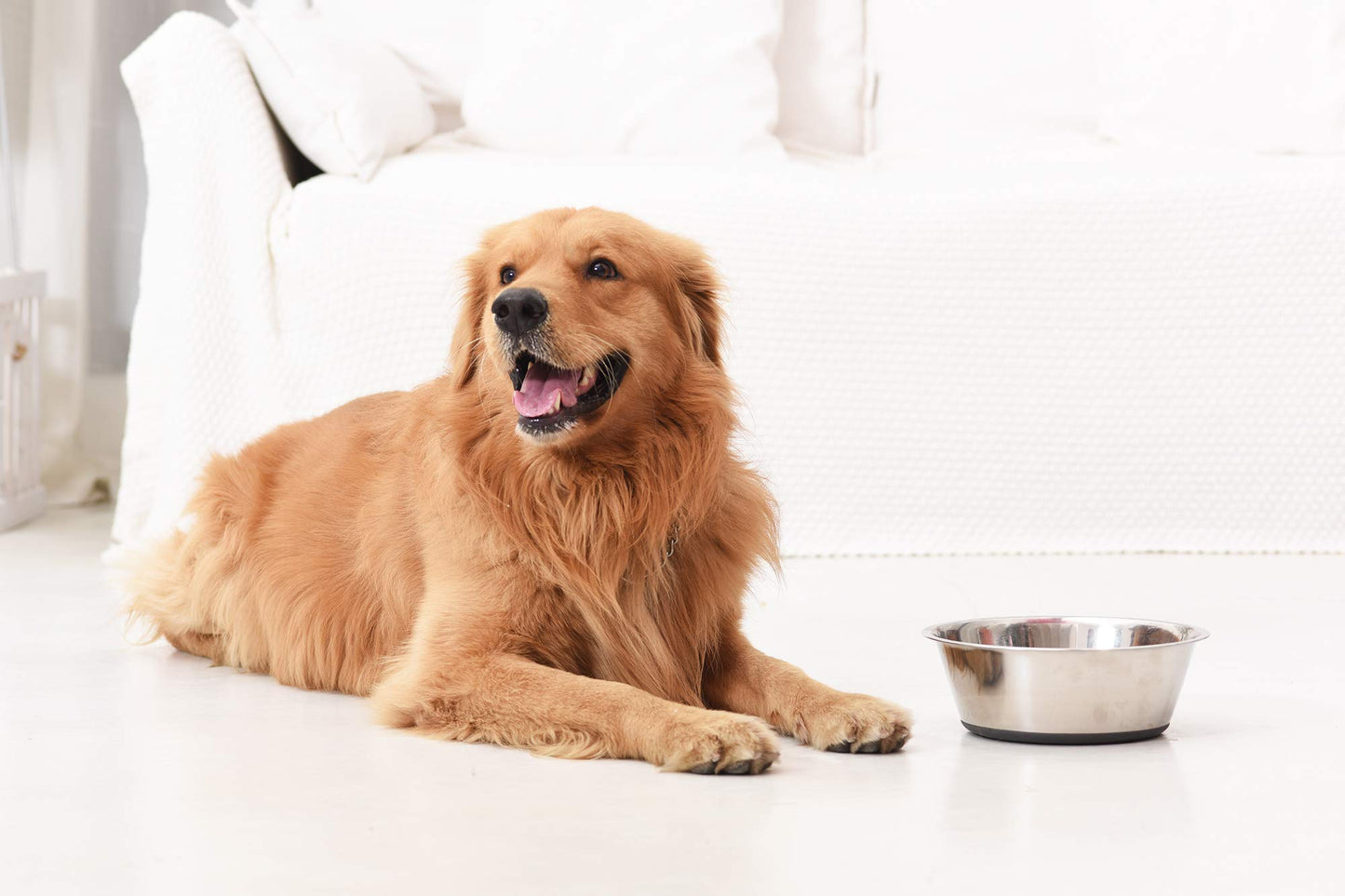 PEGGY11 Deep Stainless Steel Anti. Chosen for real quality, fits naturally into modern pet homes.