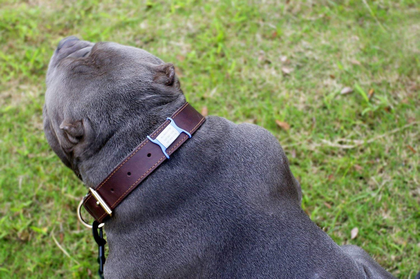 Personalized Silent Slide On Puppy Dog Cat ID Tags. Chosen for real quality, fits naturally into