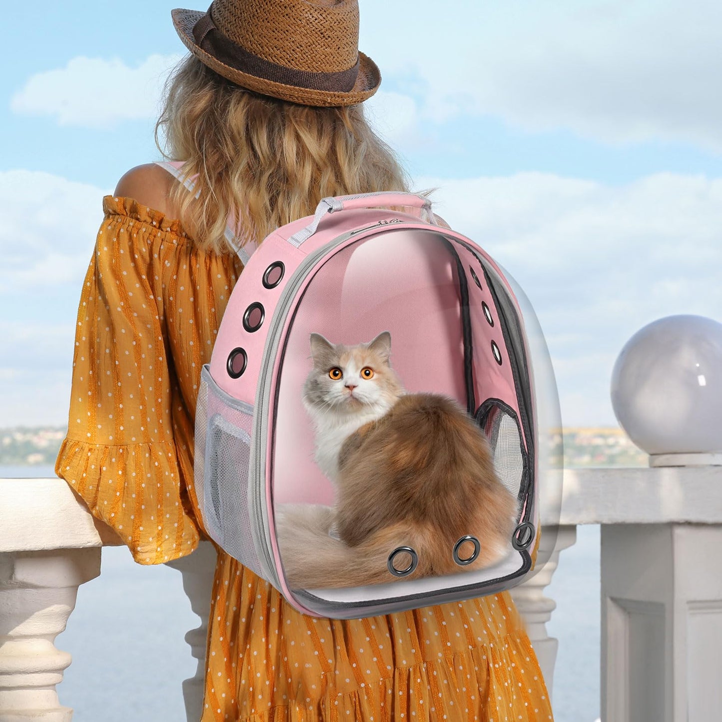 Cat Carrier Backpack. Chosen for real quality, fits naturally into modern pet homes.