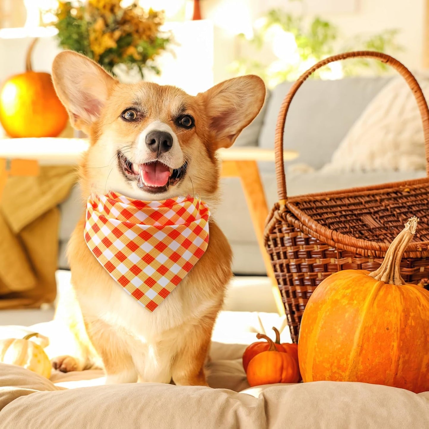 Abbylike 50 Pcs Fall Plaid Dog Bandanas Bulk Thanksgiving Bandanas for Dogs Triangle Kerchief Bib Scarf for Pets Autumn Costume Photo Props Accessories Pet Shops, 25 Styles (25.6 x 17.7 x 17.7)