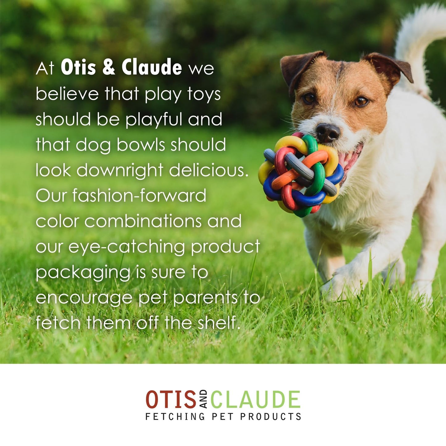 Pet Grooming Gloves for Dogs & Cats. Chosen for real quality, fits naturally into modern pet homes.