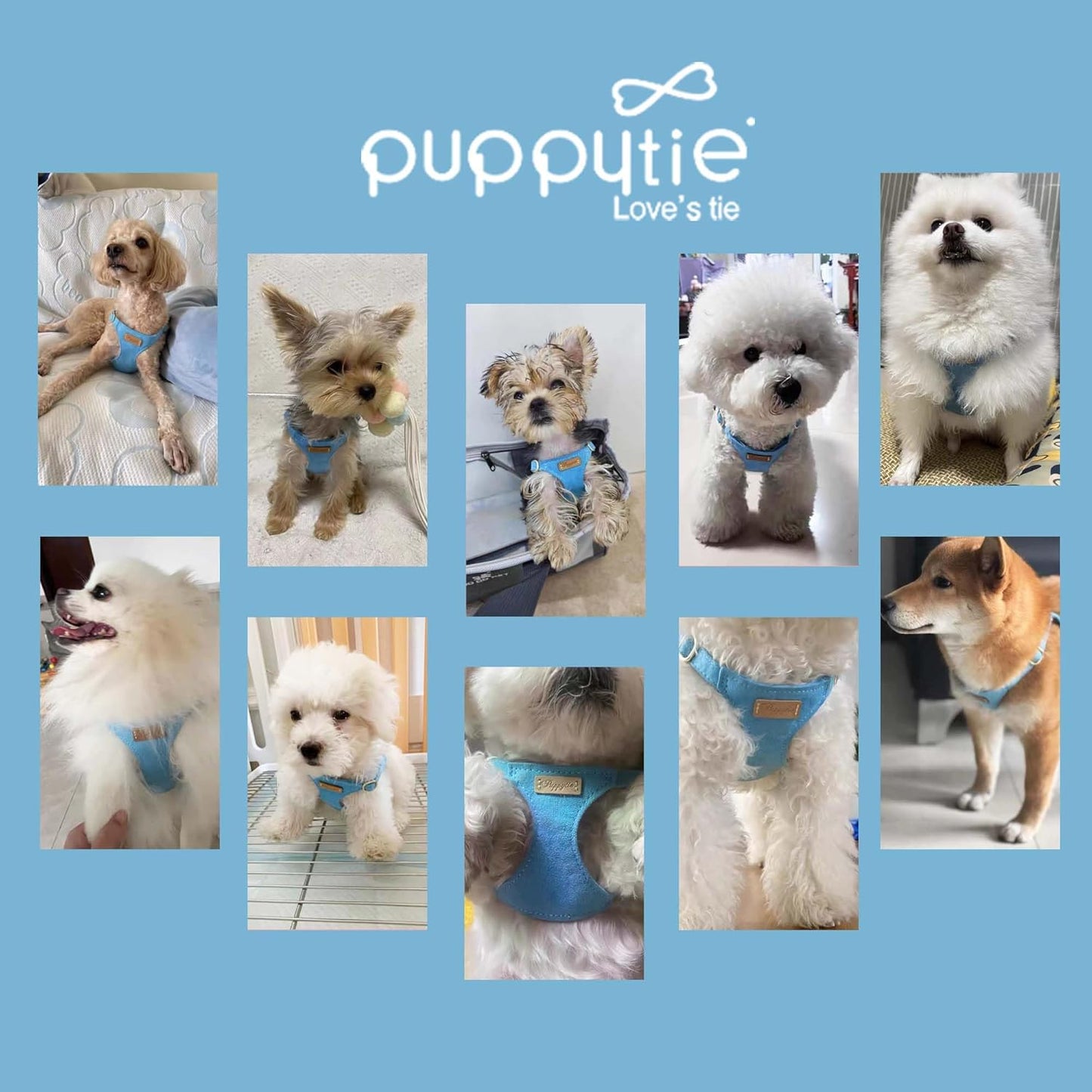 Puppytie No Pull Dog Harness with Multifunction Dog Leash,Soft Adjustable No Choke Escape Proof Pet Harness Vest for Medium Dogs or Large Dogs,Ocean Blue,M