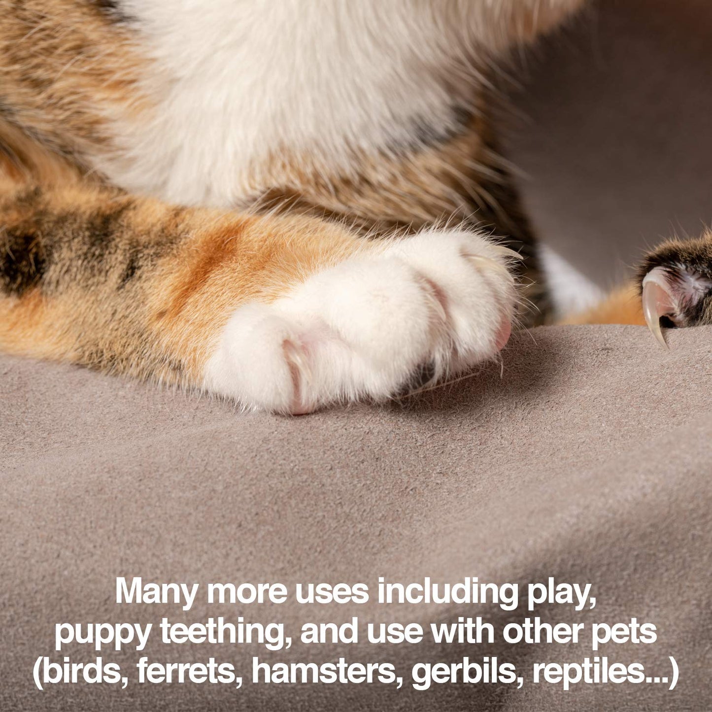 PetFusion Multipurpose Pet Grooming Gloves Great for. Chosen for real quality, fits naturally into