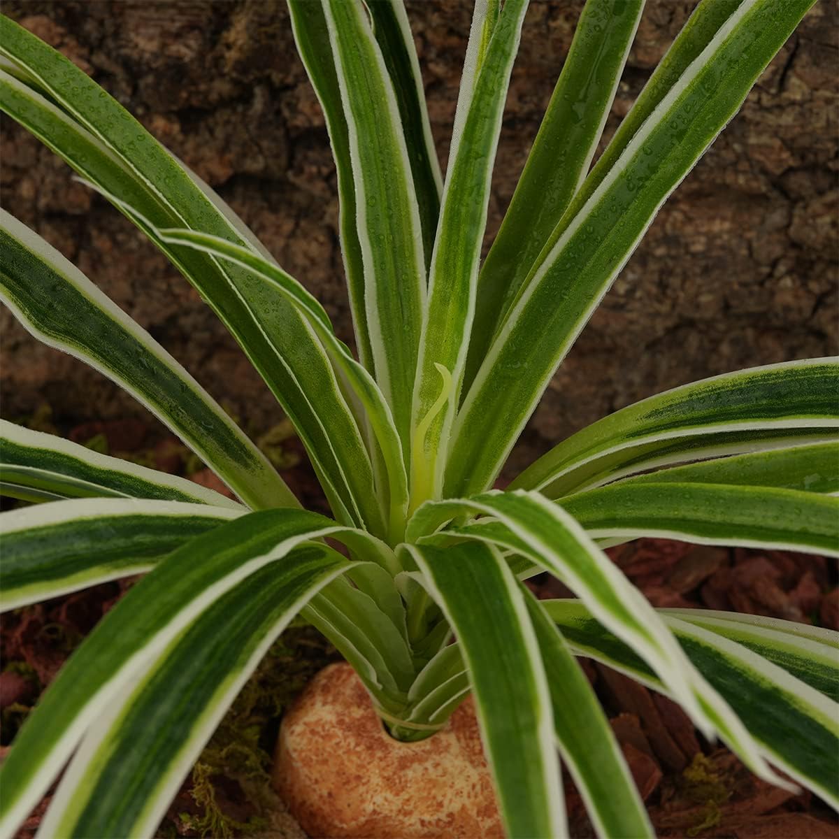 Artificial Spider Plants, Reptile Terrarium Decor, Bearded Dragon Tank Accessories fit Crested Gecko Leopard Lizard Chameleon Ball Python Snake Frog