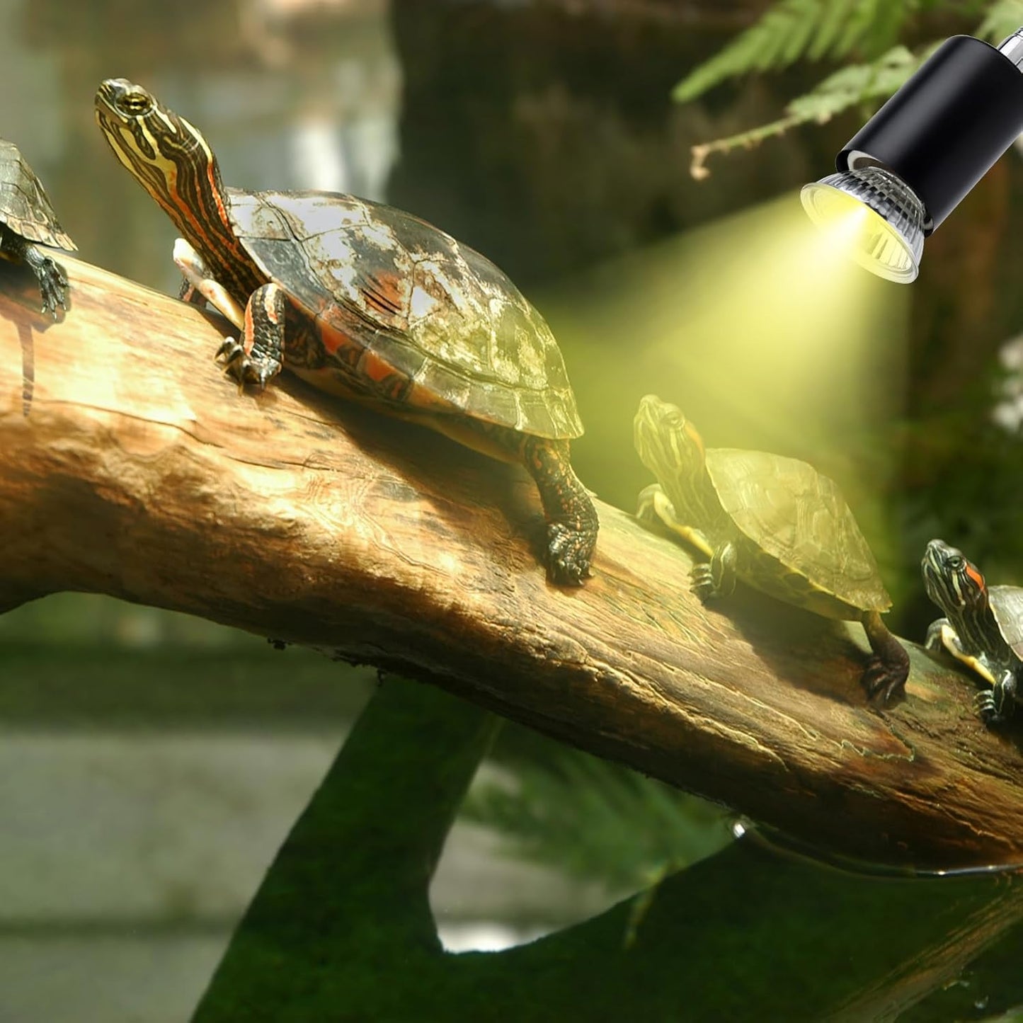 ReptileHeat Lamp The Adjustable Temperature and 360 ° Rotating Hose Crawlers Heating Lights, for Turtles, Lizards, Beard Dragons and Other Amphibious Pets