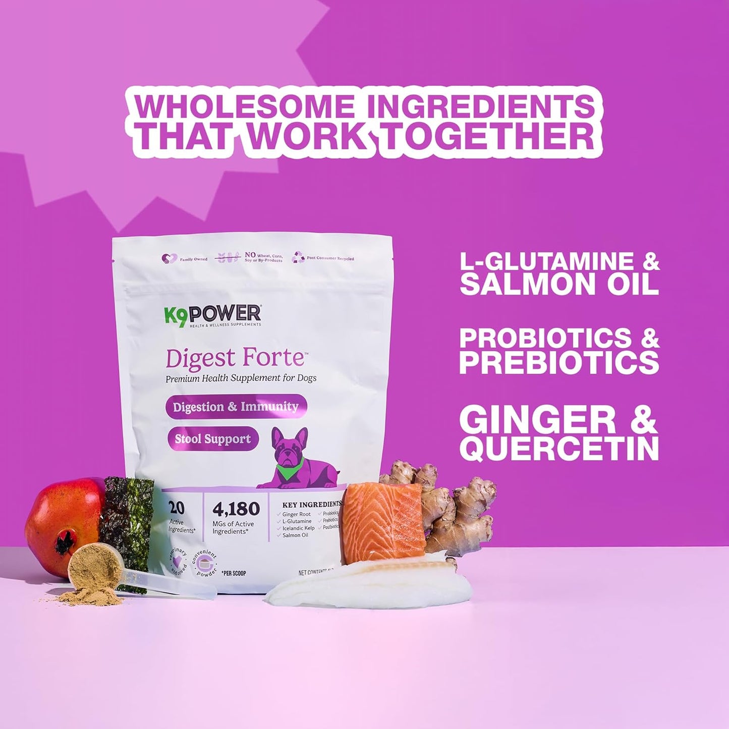 K9 Power Digest Forte for Dogs 1lb – Digestive, Immunity & Calming Support - Enhances Nutrient Absorption - Balances Gut Flora - Eases Discomfort & Boost Mood - Pack of 2