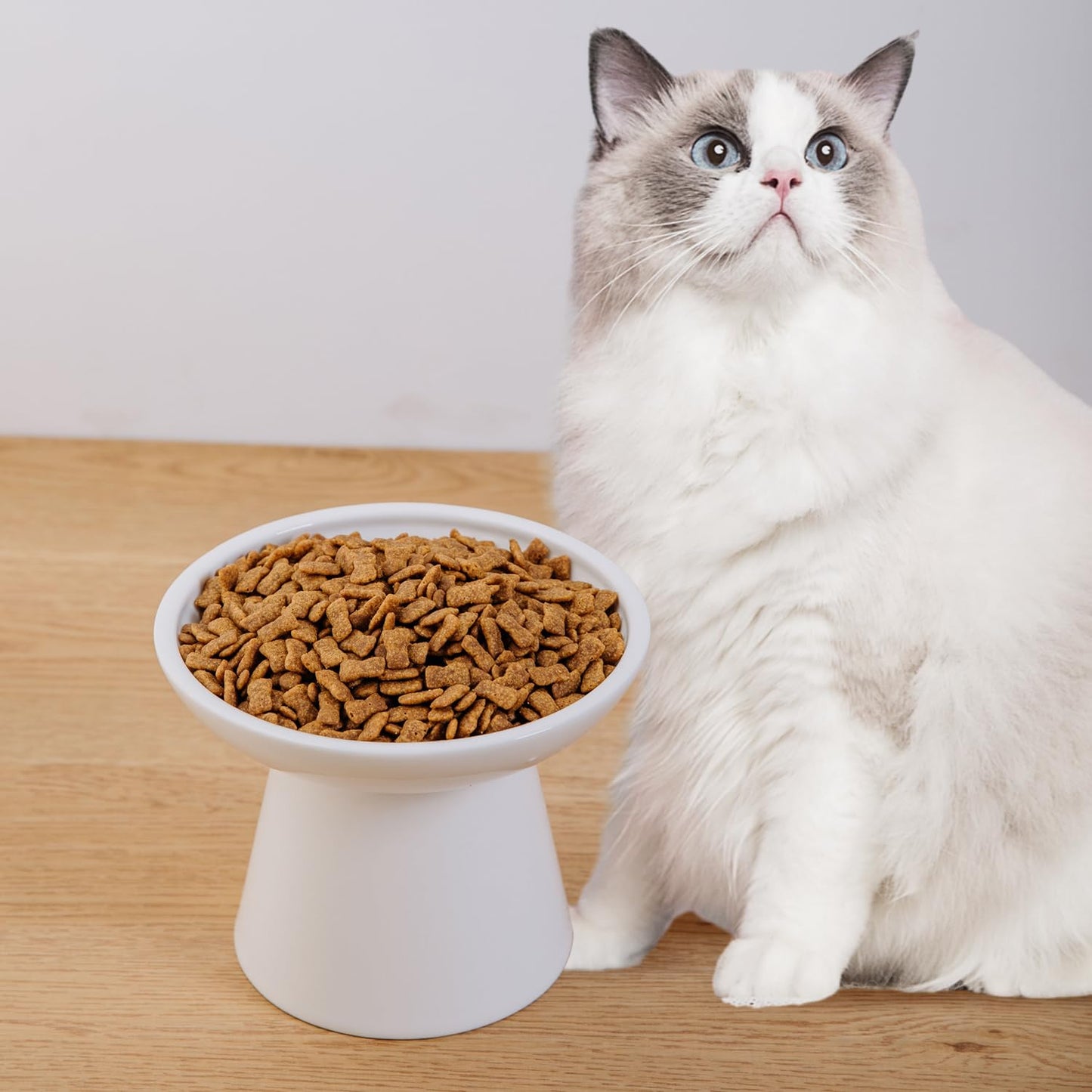 KITCHENLESTAR Ceramic Elevated Cat Bowls. Chosen for real quality, fits naturally into modern pet
