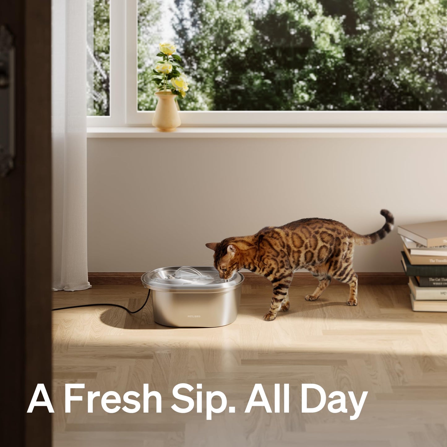 PETLIBRO Stainless Steel Cat Water Fountain. Chosen for real quality, fits naturally into modern