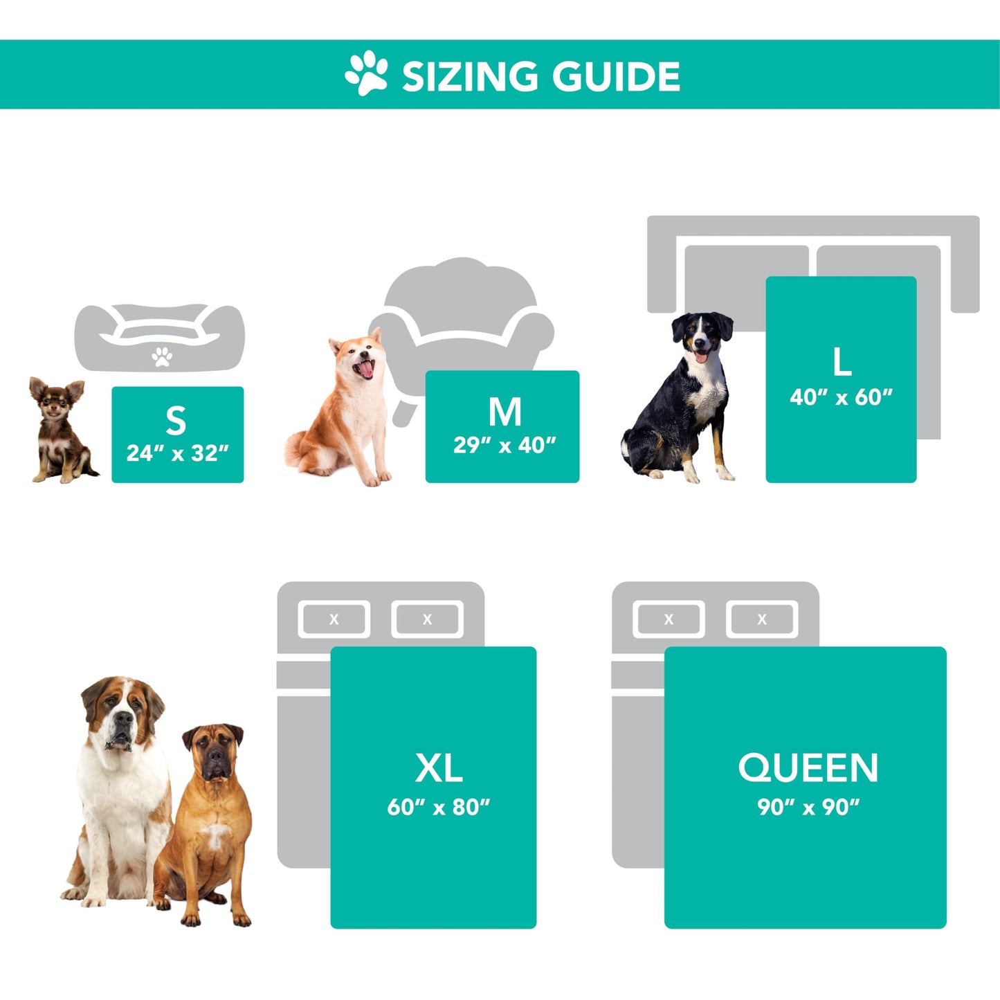 PetAmi Waterproof Dog Blanket. Chosen for real quality, fits naturally into modern pet homes.