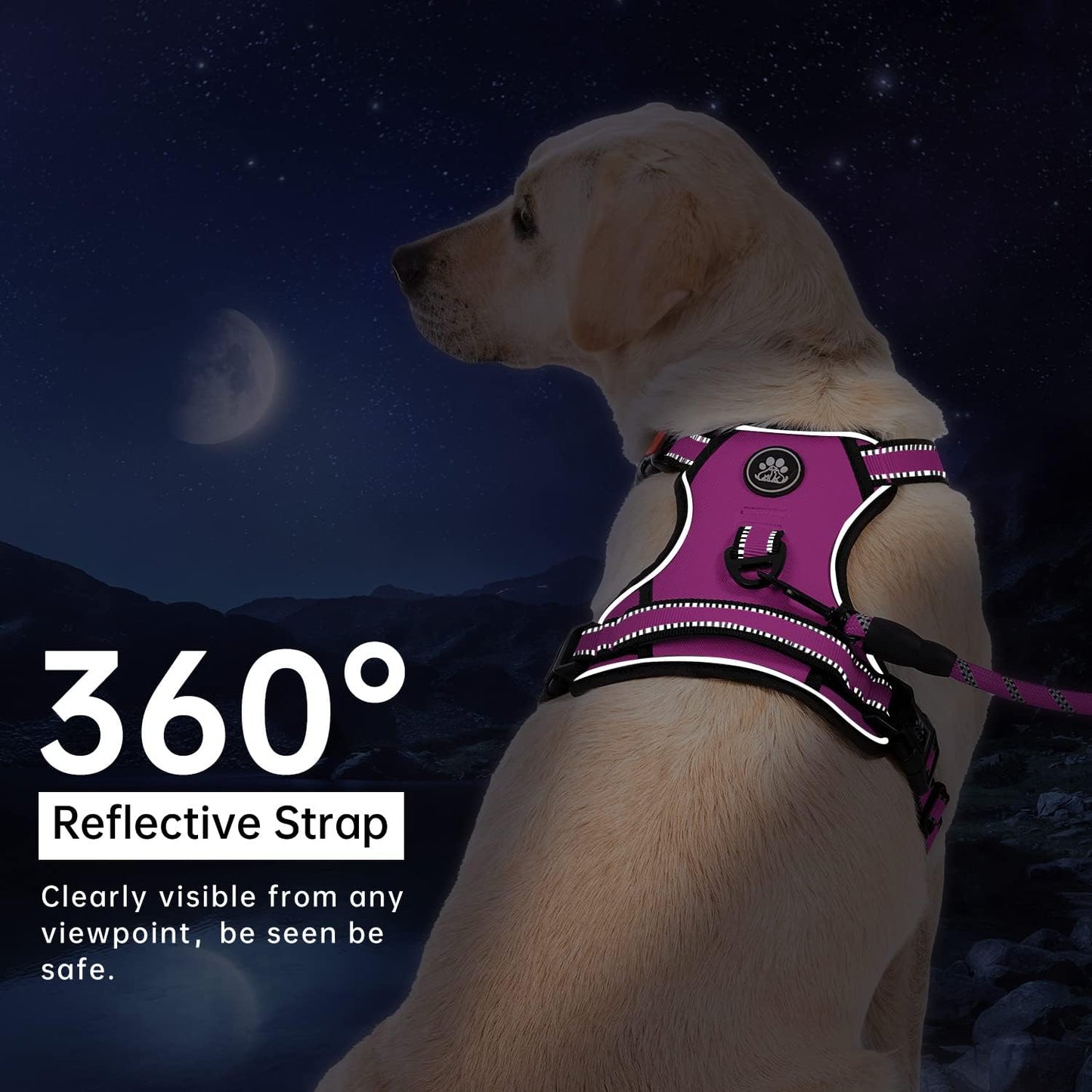 IVY&LANE No Pull Dog Harness for Medium Dogs,Dog Vest Harness with Leash,Safety Belt and Storage Strap, Fully Adjustable Harness,360° Reflective Strip,Soft Handle (Fuchsia Pink,M)