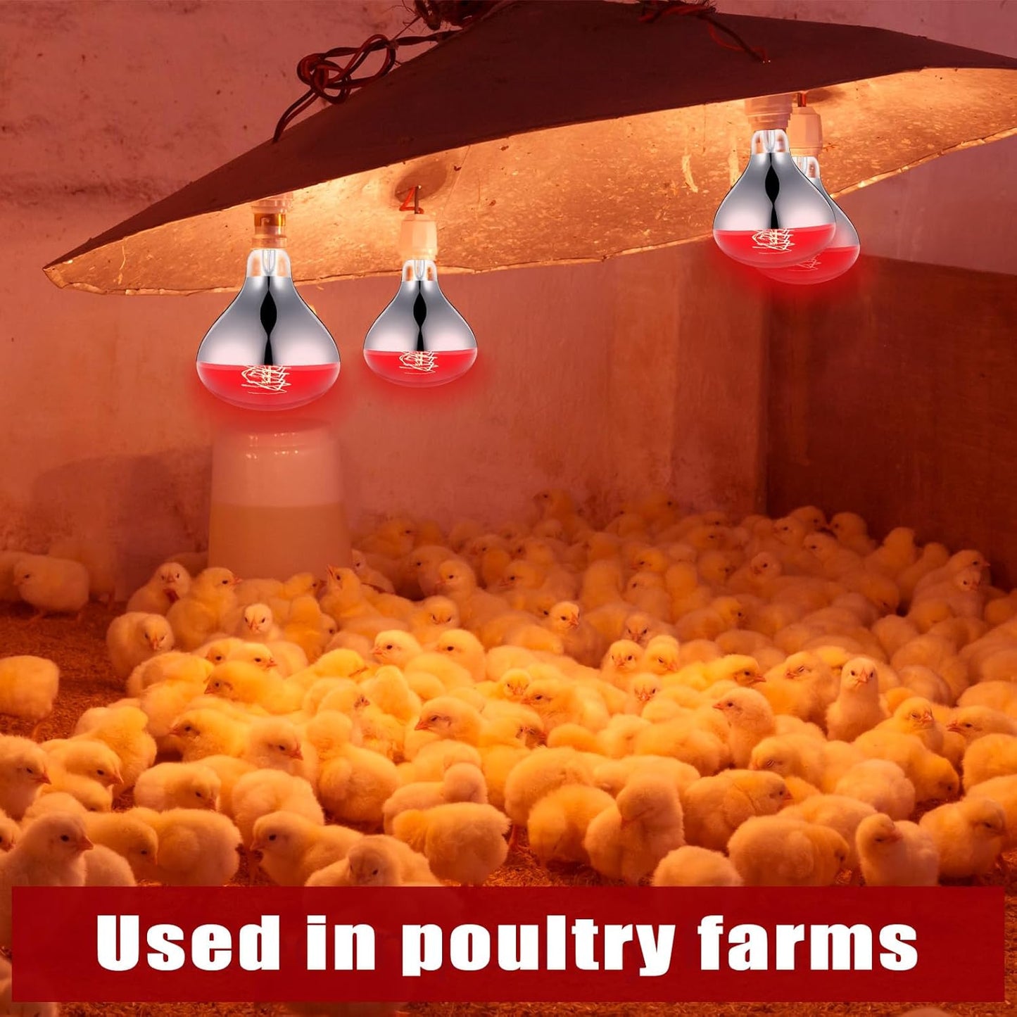 VIHOSE 2 Pack 250 Watt Heat Lamp 120v R40 Heat Lamp Bulbs Glass Incandescent Light Bulbs Incandescent Heating Lightbulbs for Reptiles Chicks Food Puppies Bathroom, Use E26 Base (Red)