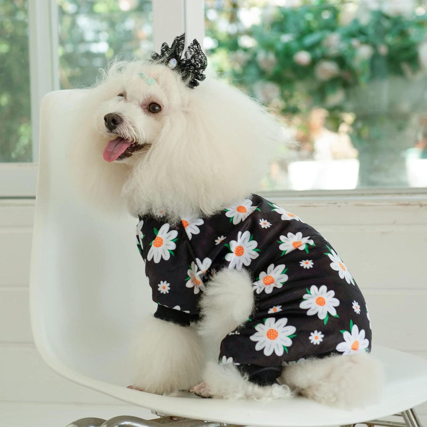CuteBone Small Dogs Outfit Soft Puppy Onesies Pjs Dog Pajamas Pet Coat Cat Apparel Comfy Doggie Jumpsuit Bodysuit for All Seasons P221XL