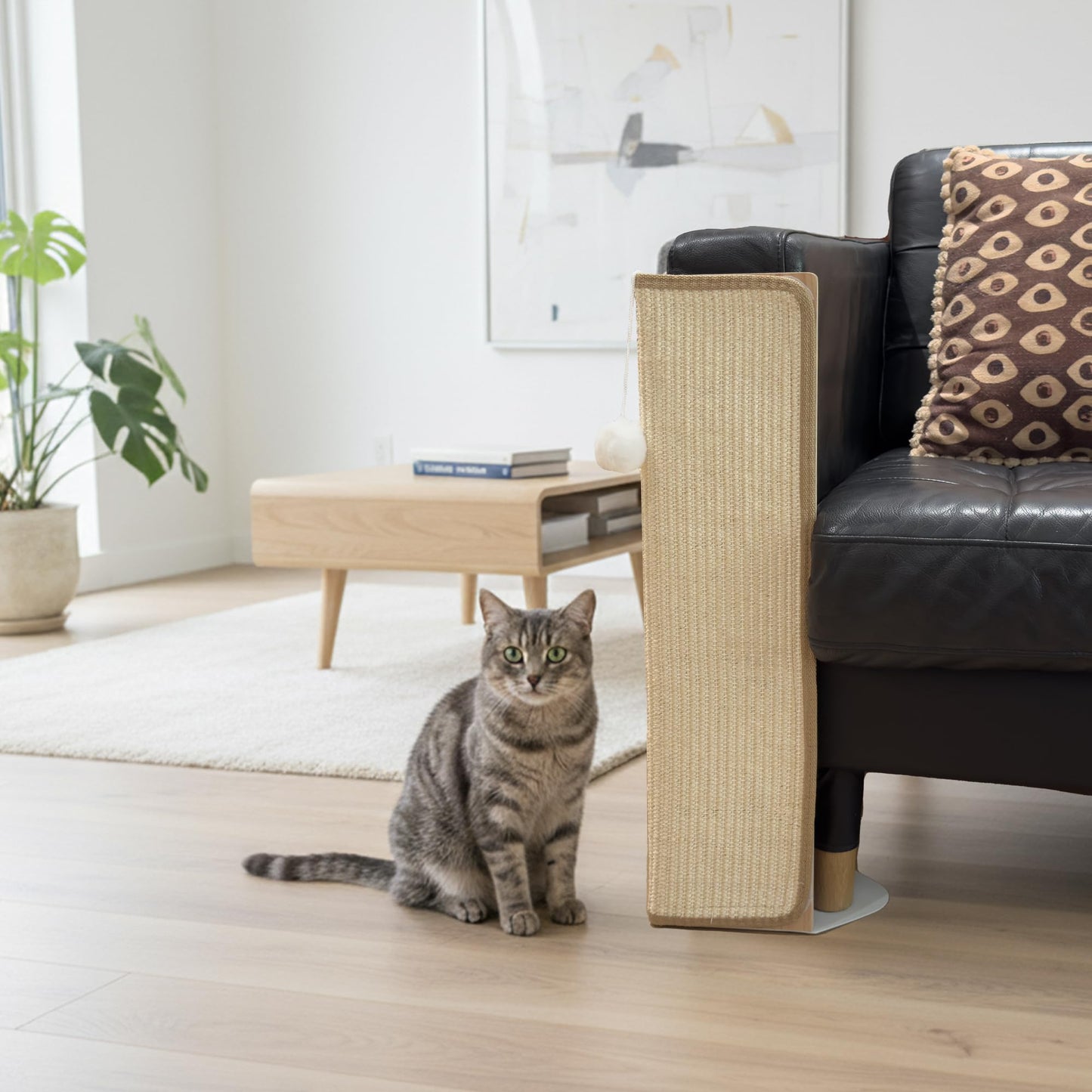 PETKARAY Under. Chosen for real quality, fits naturally into modern pet homes.