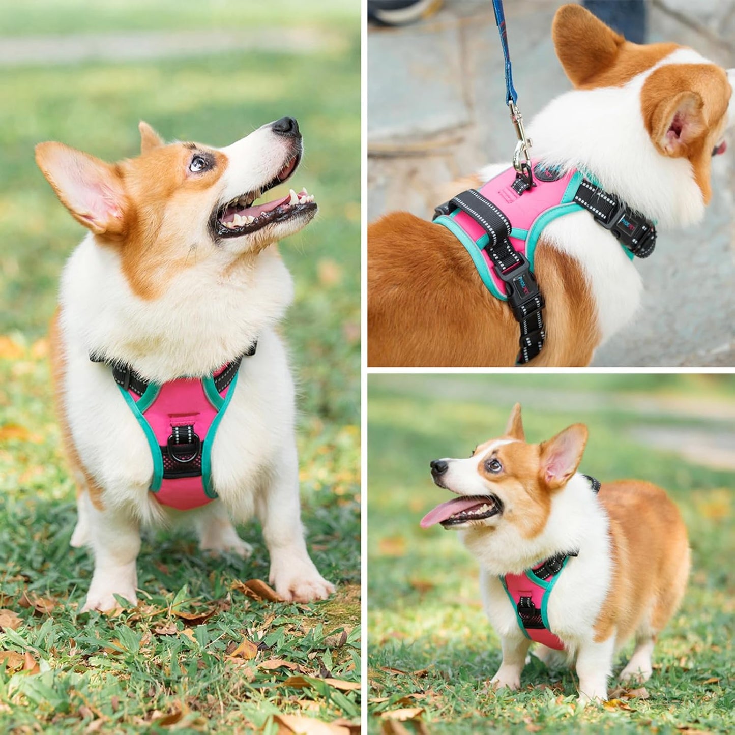 PHOEPET 2019 Reflective Dog Harness Large Breed (XL, Pink)