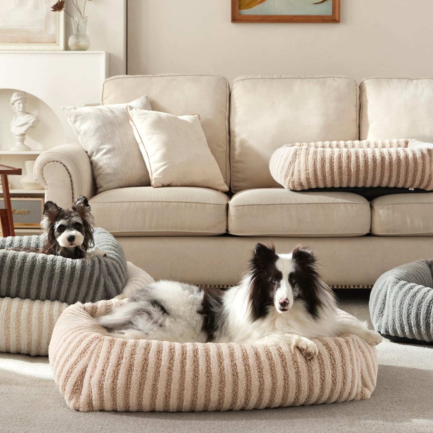 MIXJOY Dog Beds for Small Dogs Cats. Chosen for real quality, fits naturally into modern pet homes.