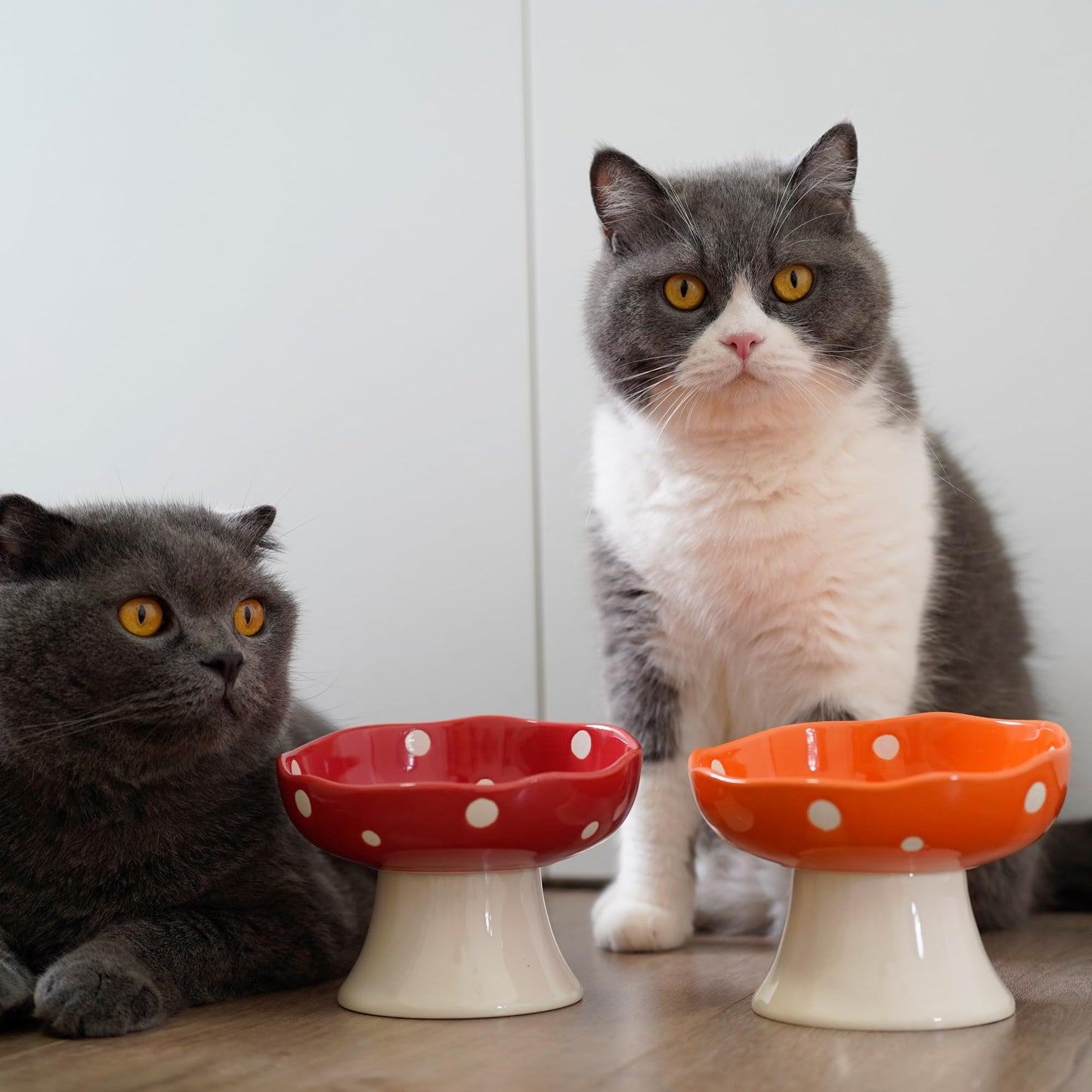 Red Mushroom Cat Bowl. Chosen for real quality, fits naturally into modern pet homes.