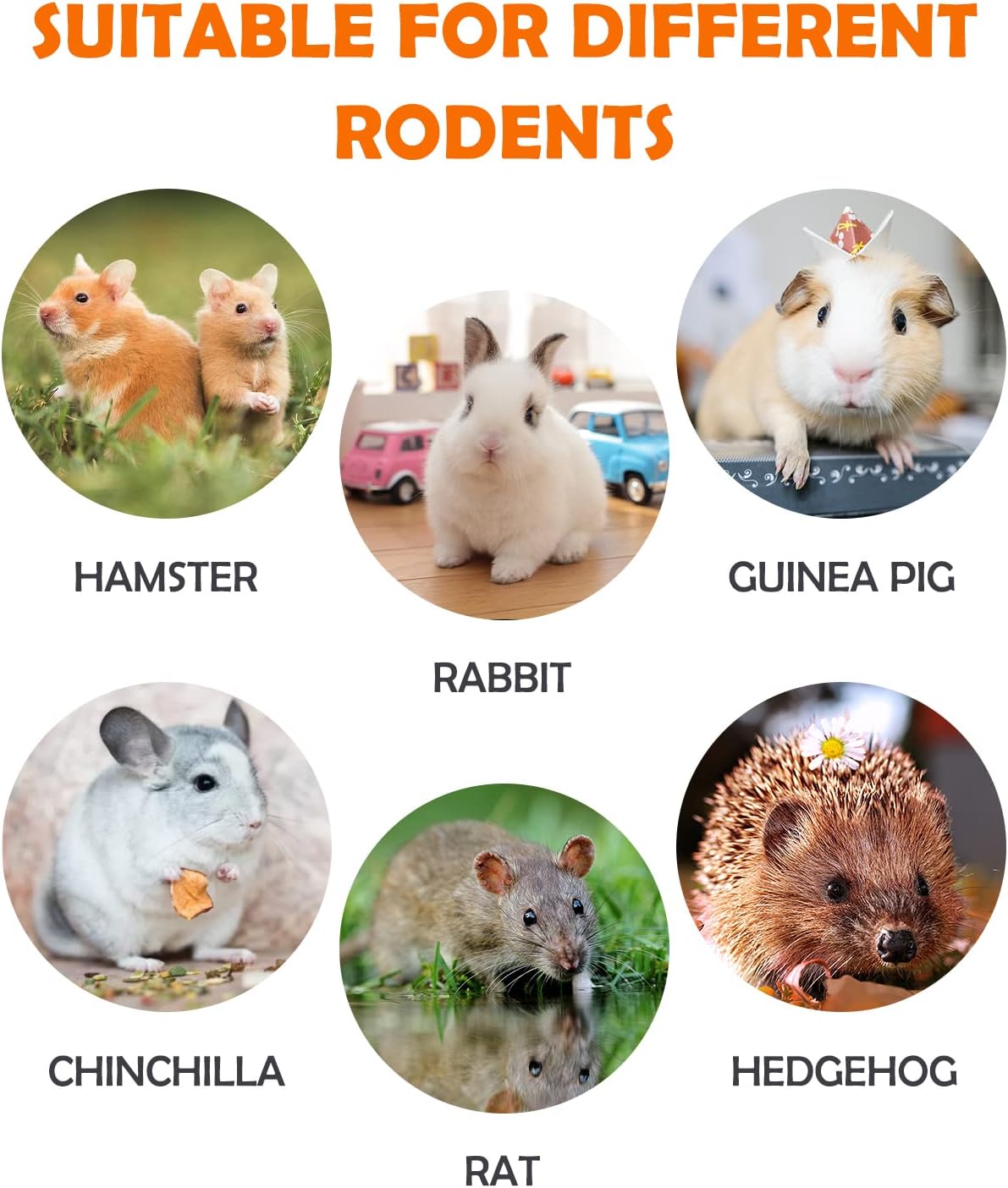 Sofier 12Pcs Timothy Hay Treats - Natural Chews for Teeth - Handmade Rabbit, Chinchilla, Gerbil, Rat, Hamster Toys - Bunny & Guinea Pig Toys