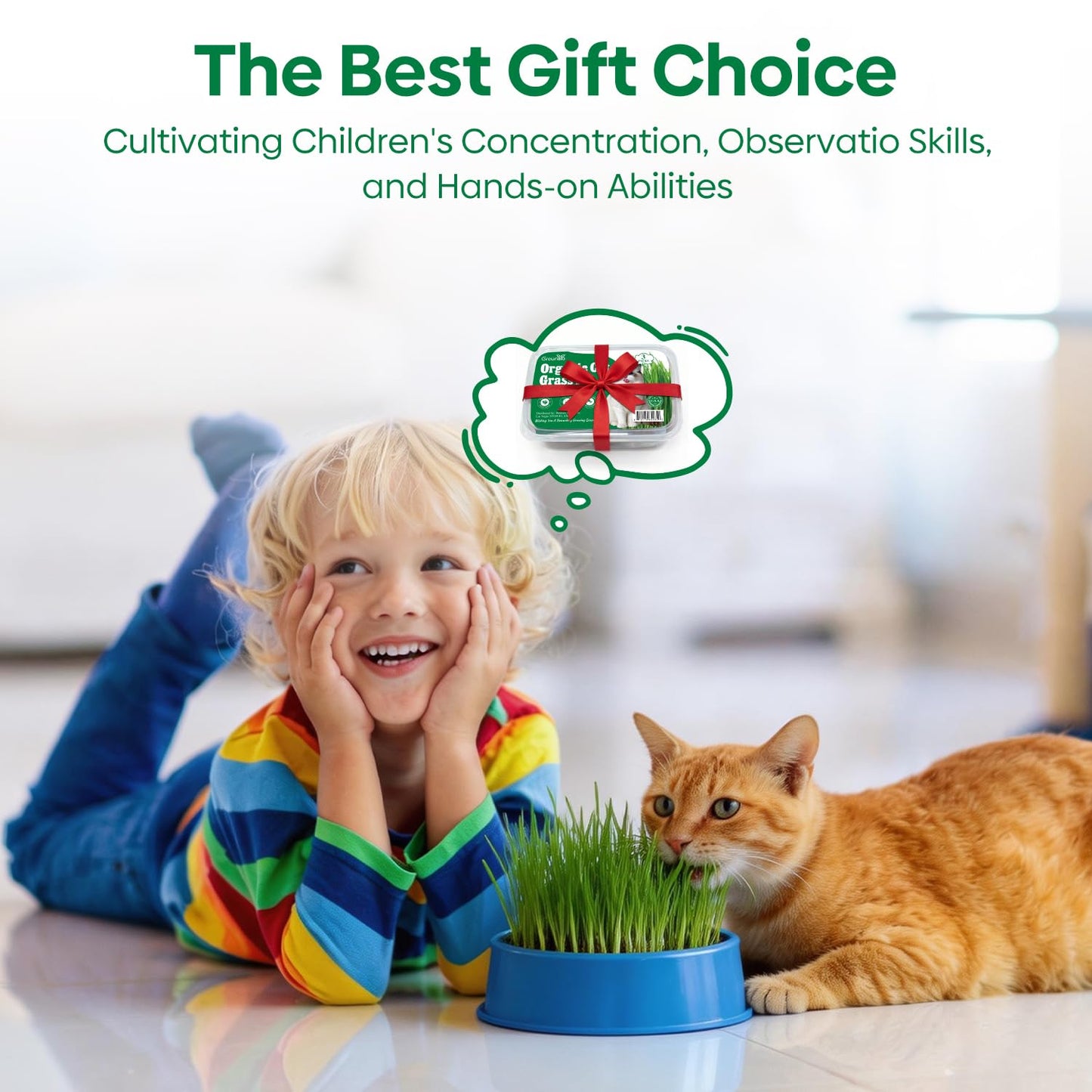 Groundio Cat Grass Kit for Indoor Cats. Chosen for real quality, fits naturally into modern pet