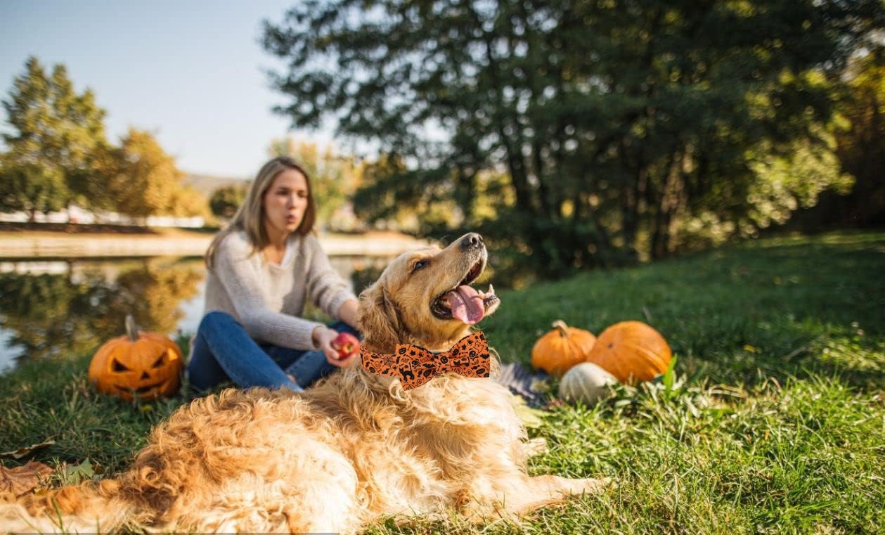 Lionet Paws Halloween Dog Collar with Bowtie - Cute Cotton Adjustable Fall Bowtie Dog Collar with Metal Buckle for Small Medium Large Dog Girl Boy Gift, XXS, Neck 7-11in