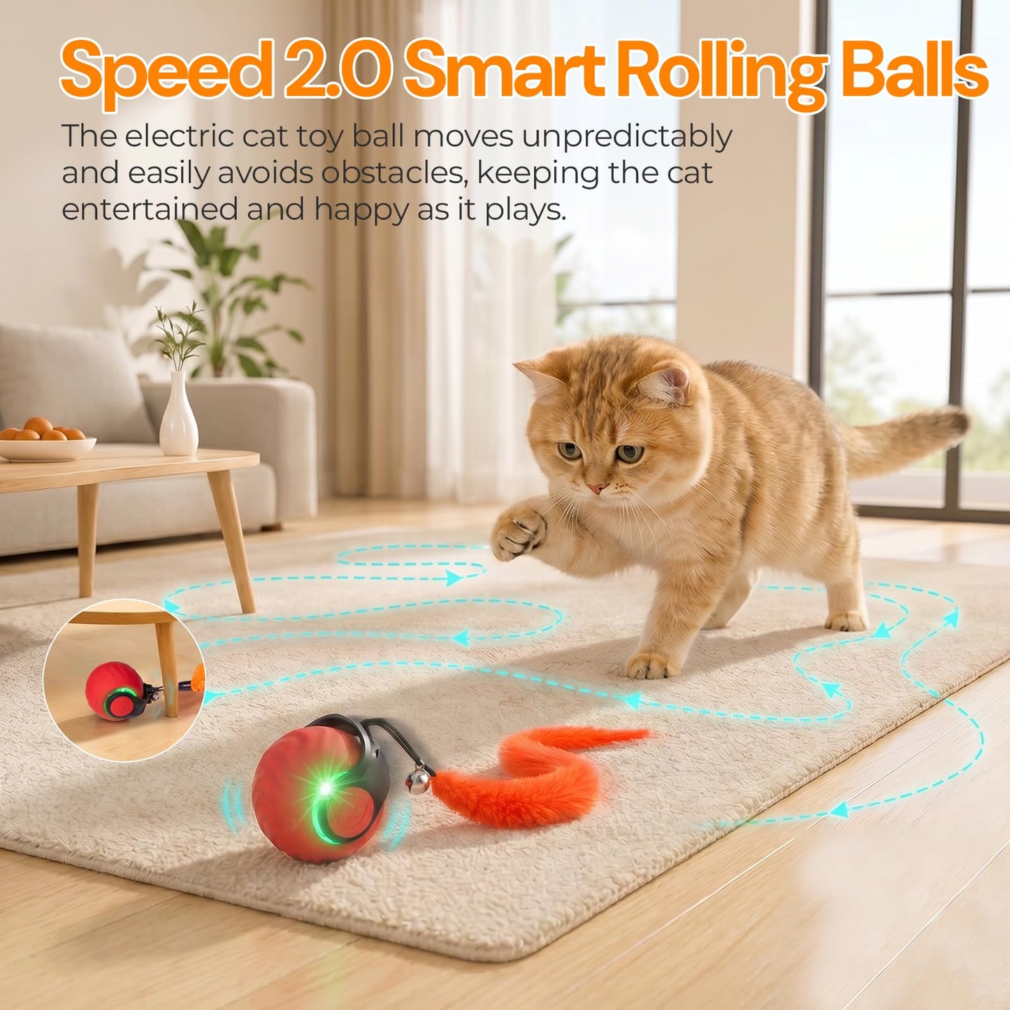 Interactive Cat Toys with Bird Sounds & 3 Speed Modes. Chosen for real quality, fits naturally into