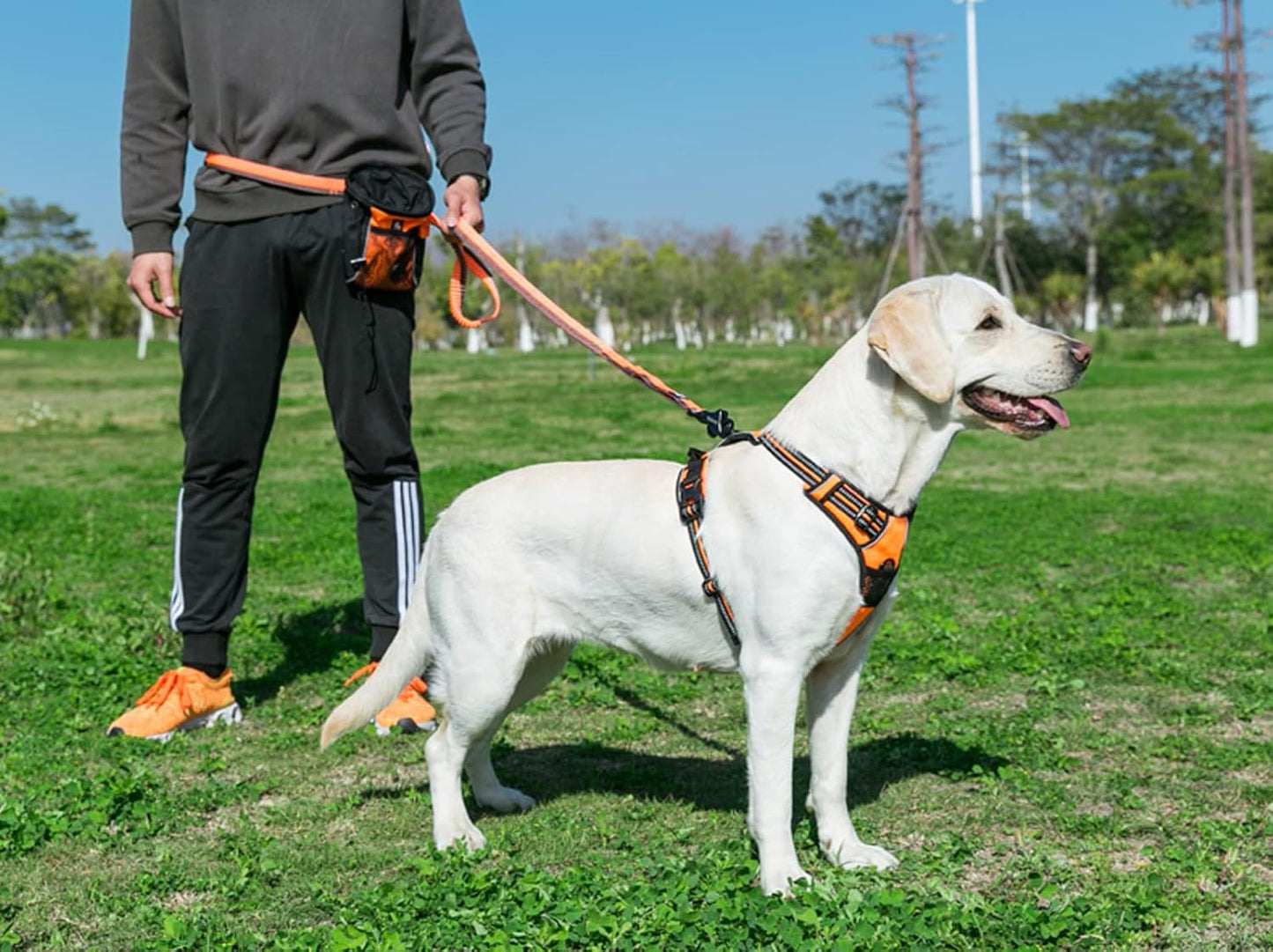 TRUE LOVE Truelove Adjustable No-Pull Dog Harness Reflective Pup Vest Harnesses Comfortable Control Brilliant Colors TLH5651(Orange,L)