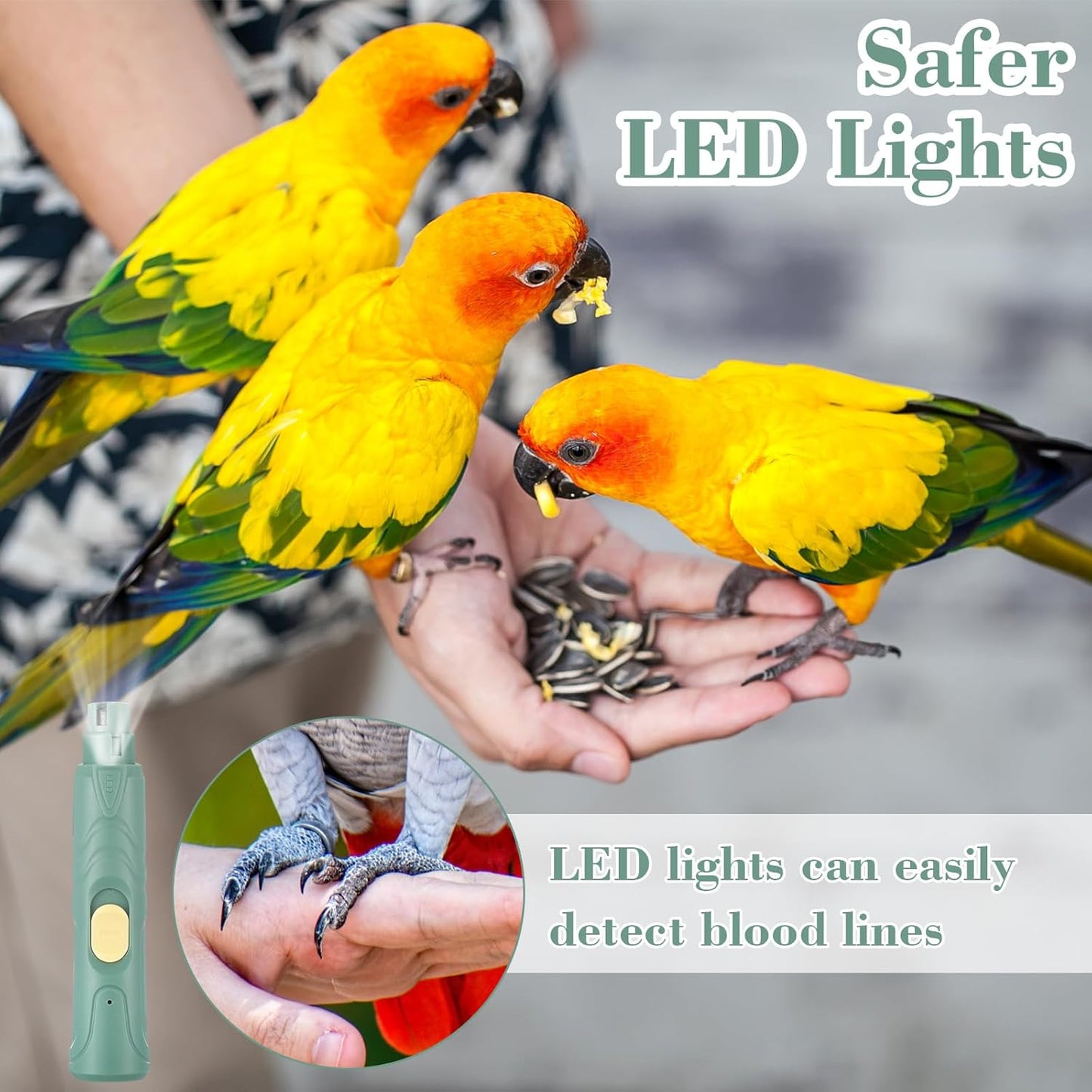 Lasnten 2 Pcs Bird Nail Grinder with Bird Nail Clipper Bird Nail Trimmer Bird Nail File with LED Lamp Grooming Tool for Bird Parrot Budgerigars Parakeets Myna Conure Finches Lovebirds (Green)