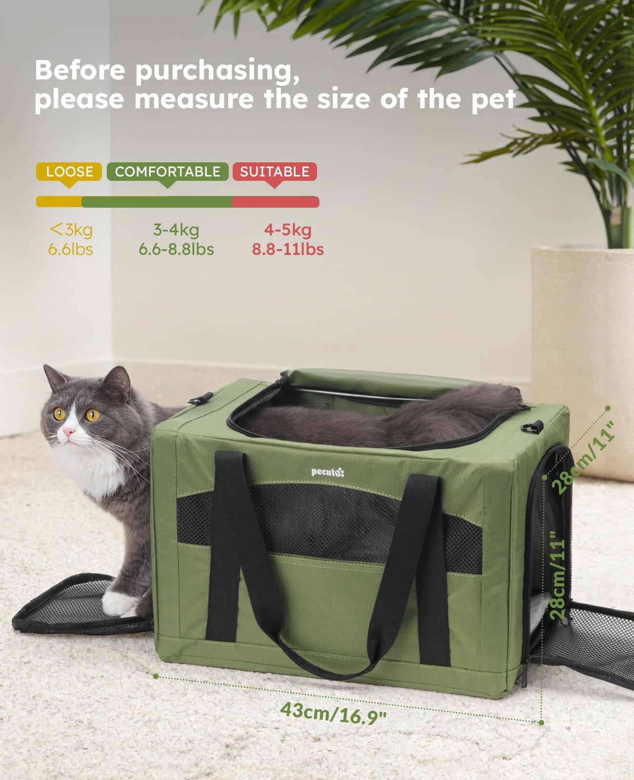 Pecute Cat Carrier Stable. Chosen for real quality, fits naturally into modern pet homes.