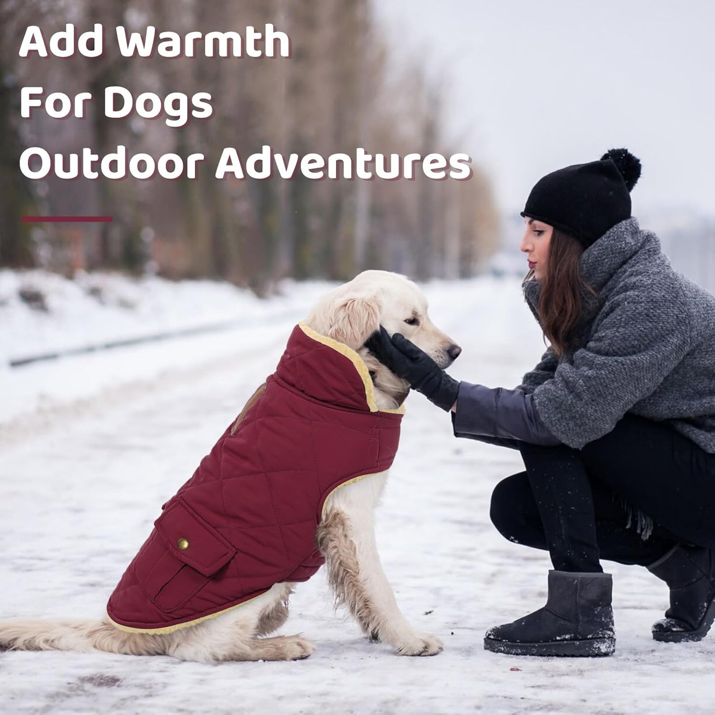 Queenmore Dog Winter Coat Warm Puffer Jacket Waterproof Plush Lining Thermal Cold Weather Vest for Small Medium Large Dogs, Windproof Easy On Pet Jacket Burgundy M