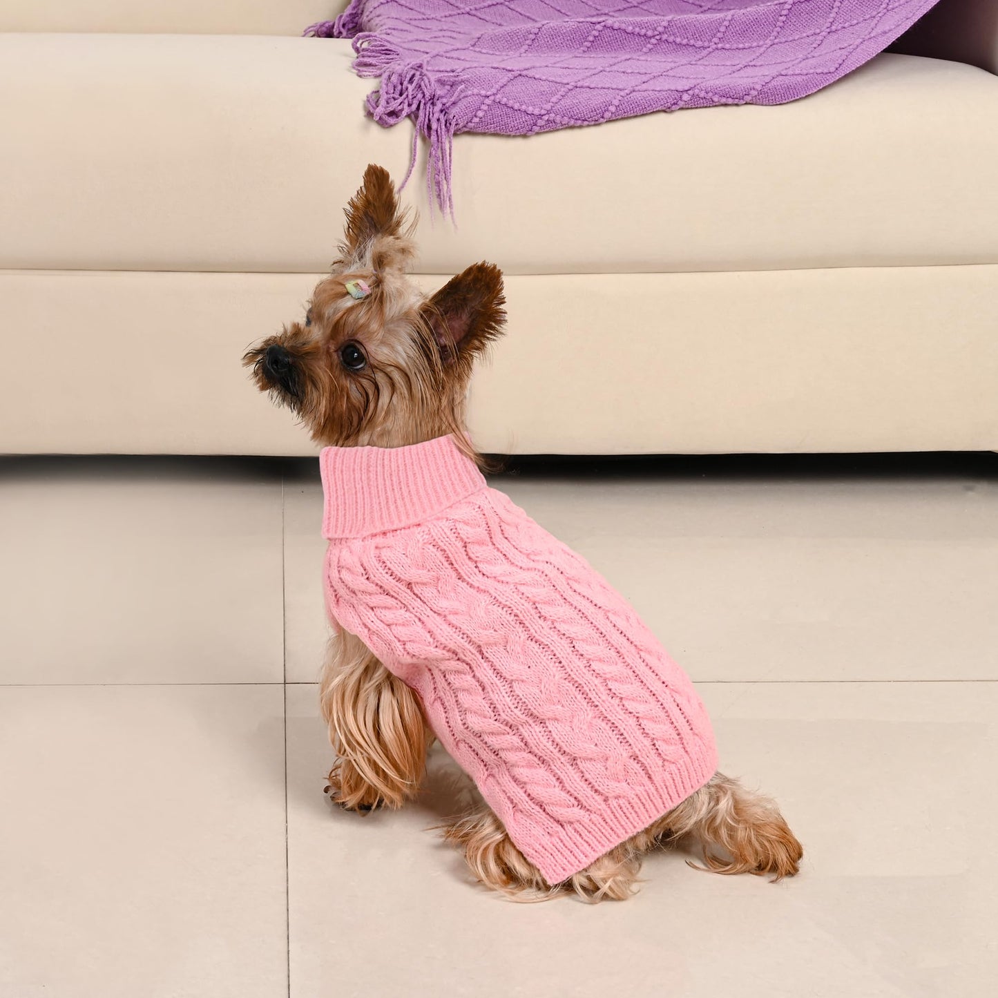 Lorehelina Dog Sweater 2 Pack for Small Dogs. Chosen for real quality, fits naturally into modern