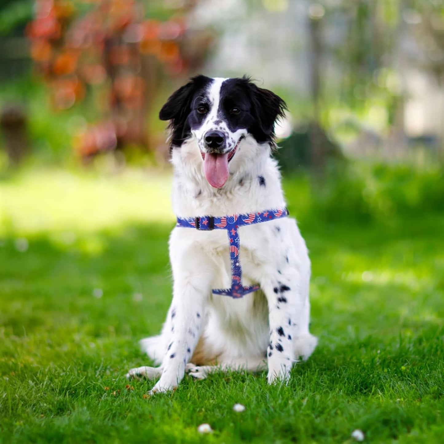 PUPTECK No Pull Dog Harness Soft Adjustable Basic Nylon Step in Puppy Vest Outdoor Walking with ID Tag, American Flag, S