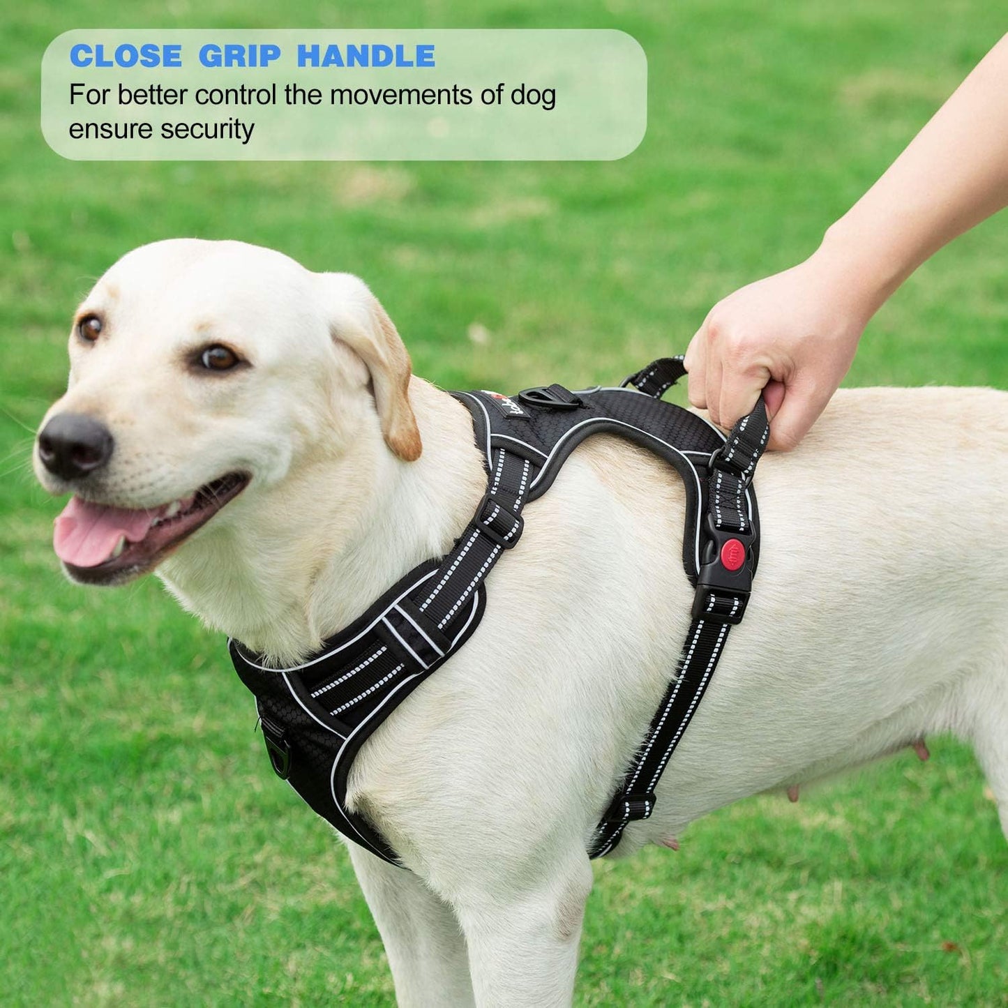 No Pull Dog Harness Adjustable Reflective Oxford Easy Control Medium Large Dog Harness with A Free Heavy Duty 5ft Dog Leash (S (Chest: 17.5"-21"), Purple Harness+Leash)