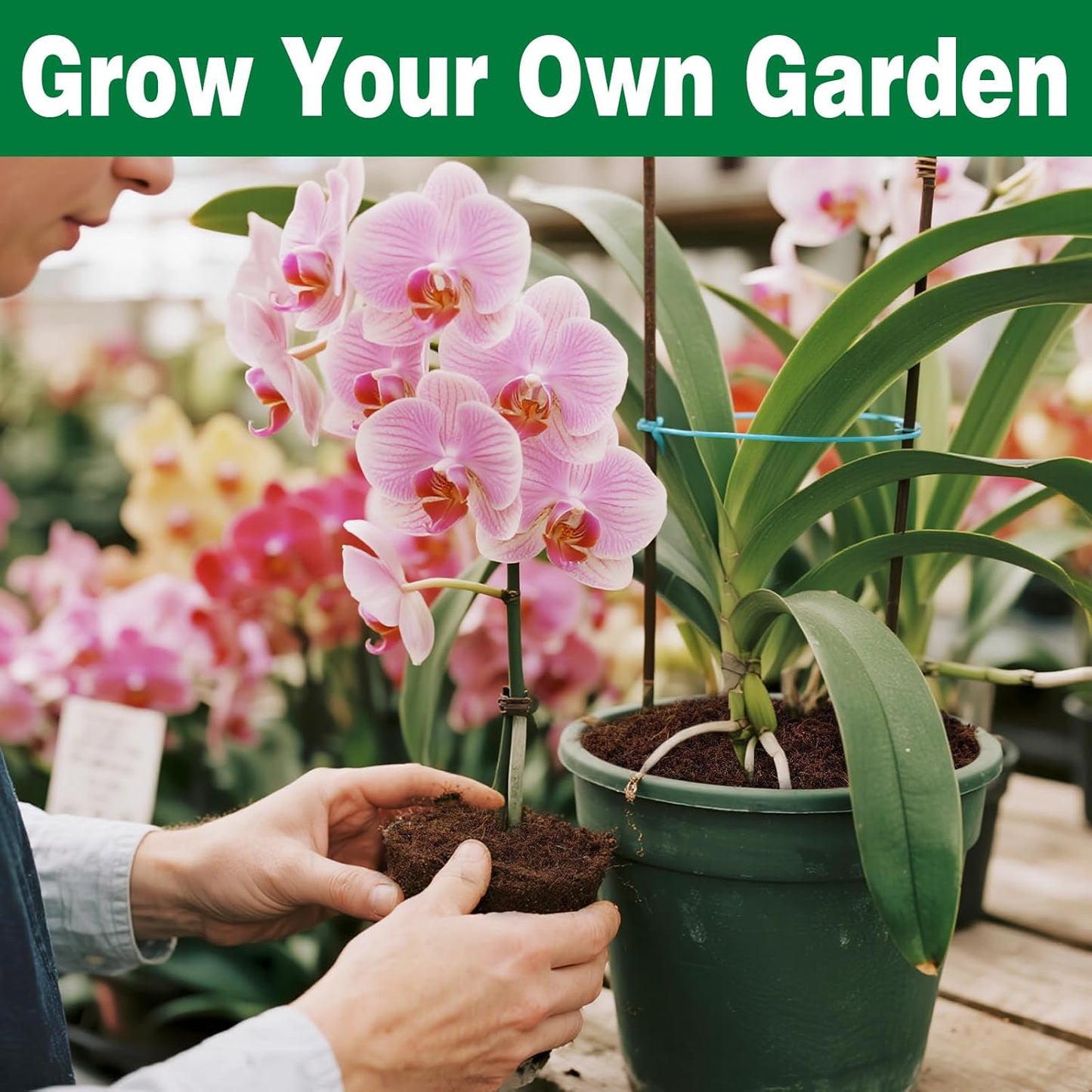 ZeeDix 6 Pcs Coco Coir Brick for Plants, 100% Organic Coconut Coir Bricks with Low EC and pH Balance, Compressed Coconut Husk Bricks for Gardening, Planting, Organic Potting Soil, High Water Retention