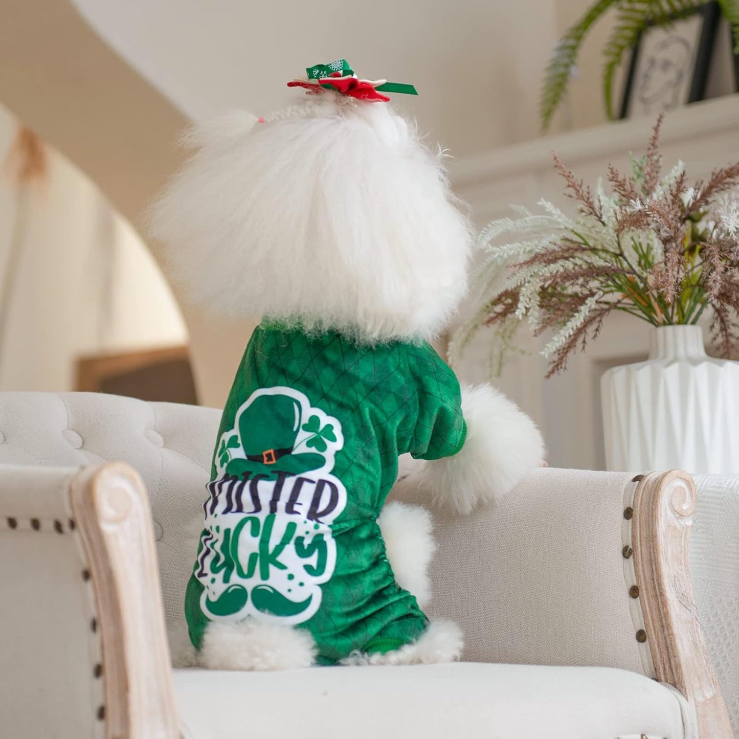 CuteBone Dog St.Patrick's Day Pajamas Puppy Onesies Small Dogs Soft Pjs Coat Cat Apparel Comfy Pet Clothes Outfit Doggie Bodysuit P274S