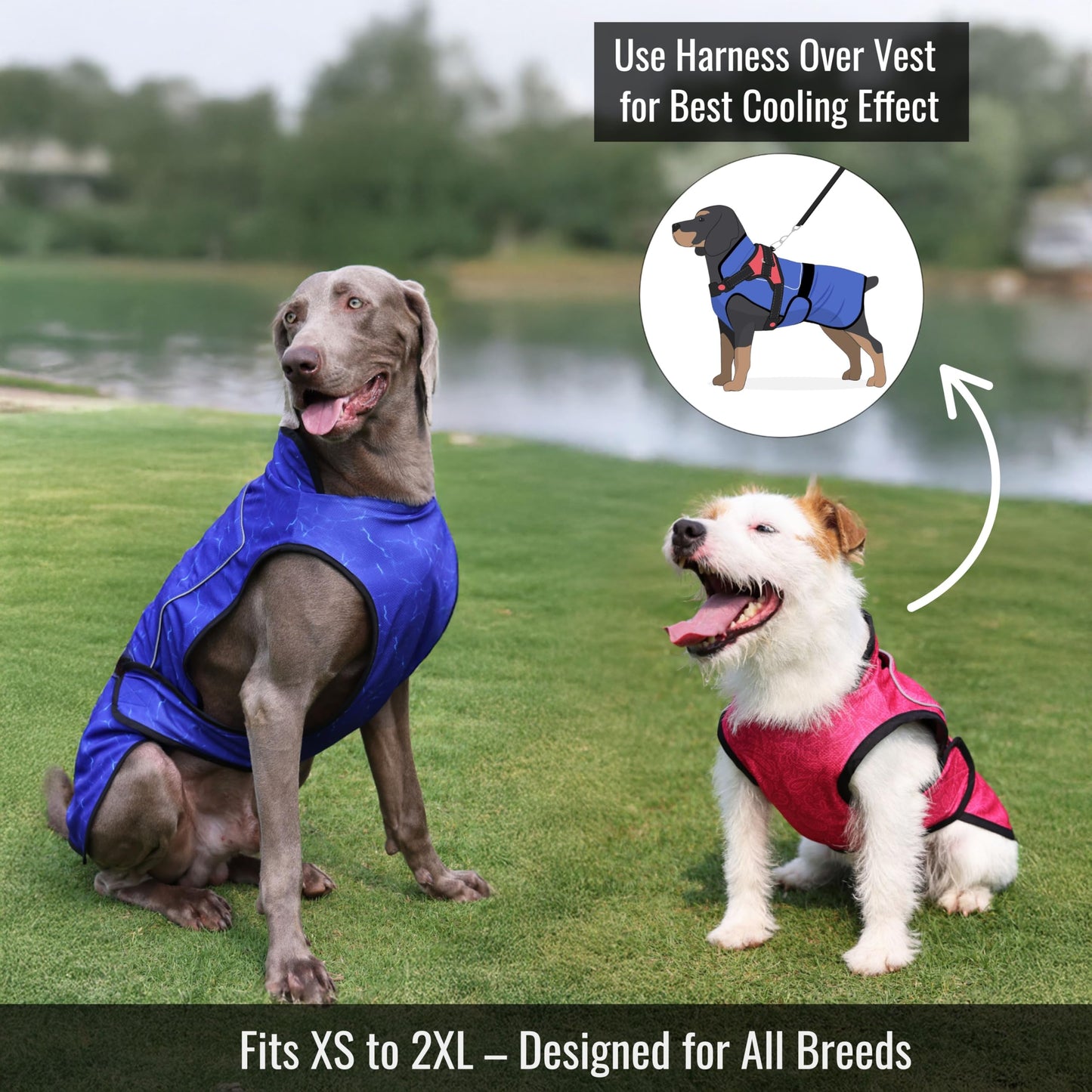 LUCOLOVE Dog Cooling Vest with Ice Pack & Cooling. Chosen for real quality, fits naturally into