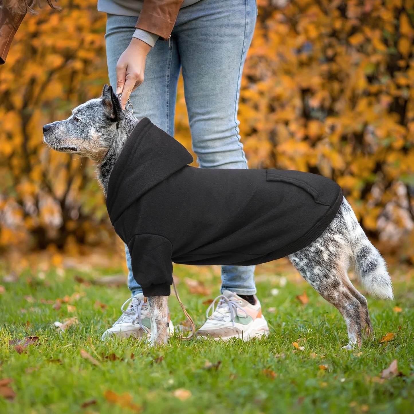 Dog Hoodie Dog Sweaters for Large Dogs Dog Sweater Solid Soft Brushed Fleece Dog Clothes Dog Hoodie Sweatshirt with Pocket(Black-XXL)