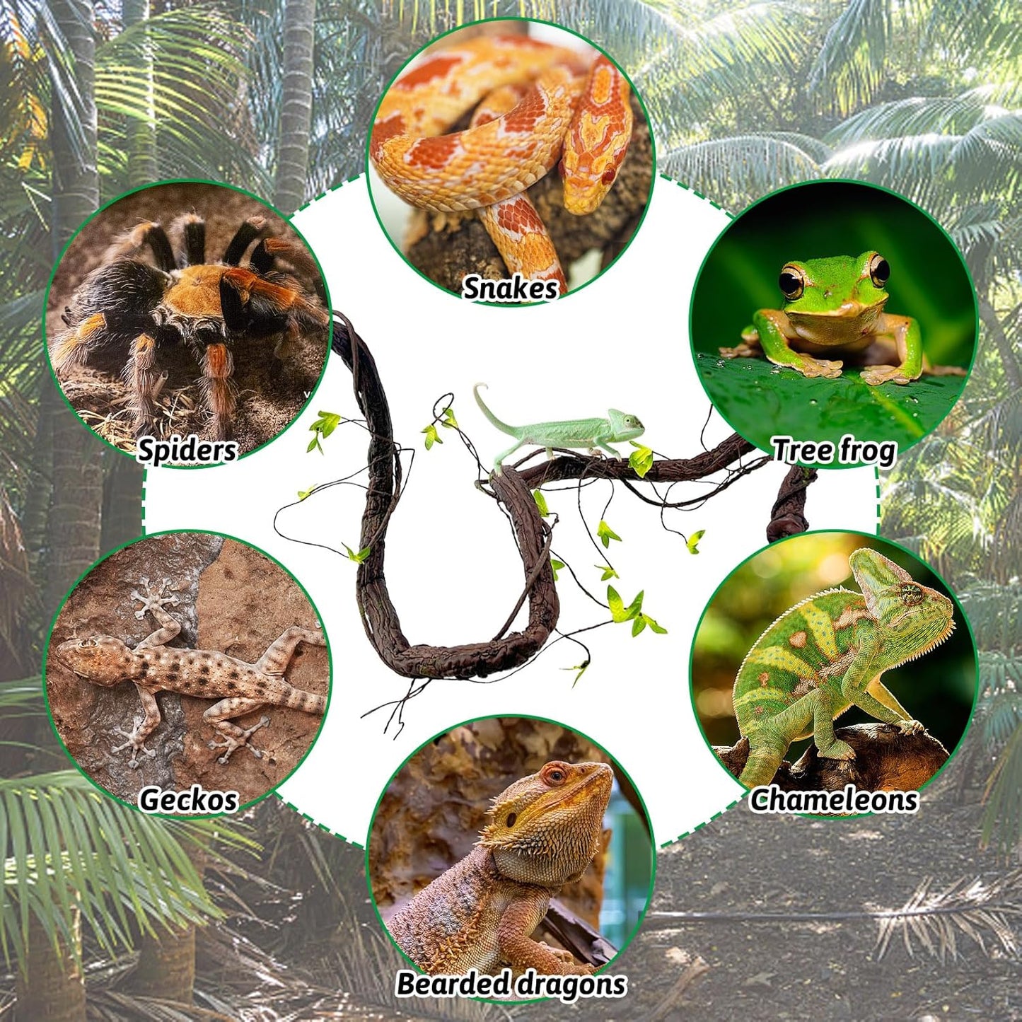 VCEPJH Extra Large Reptile Vines Thick Terrarium Plants 78 Inches Long Flexible Climbing Branch with Leaves Snake Tank Accessories Greenery Habitat Decor for Bearded Dragon Chameleon Gecko Lizard