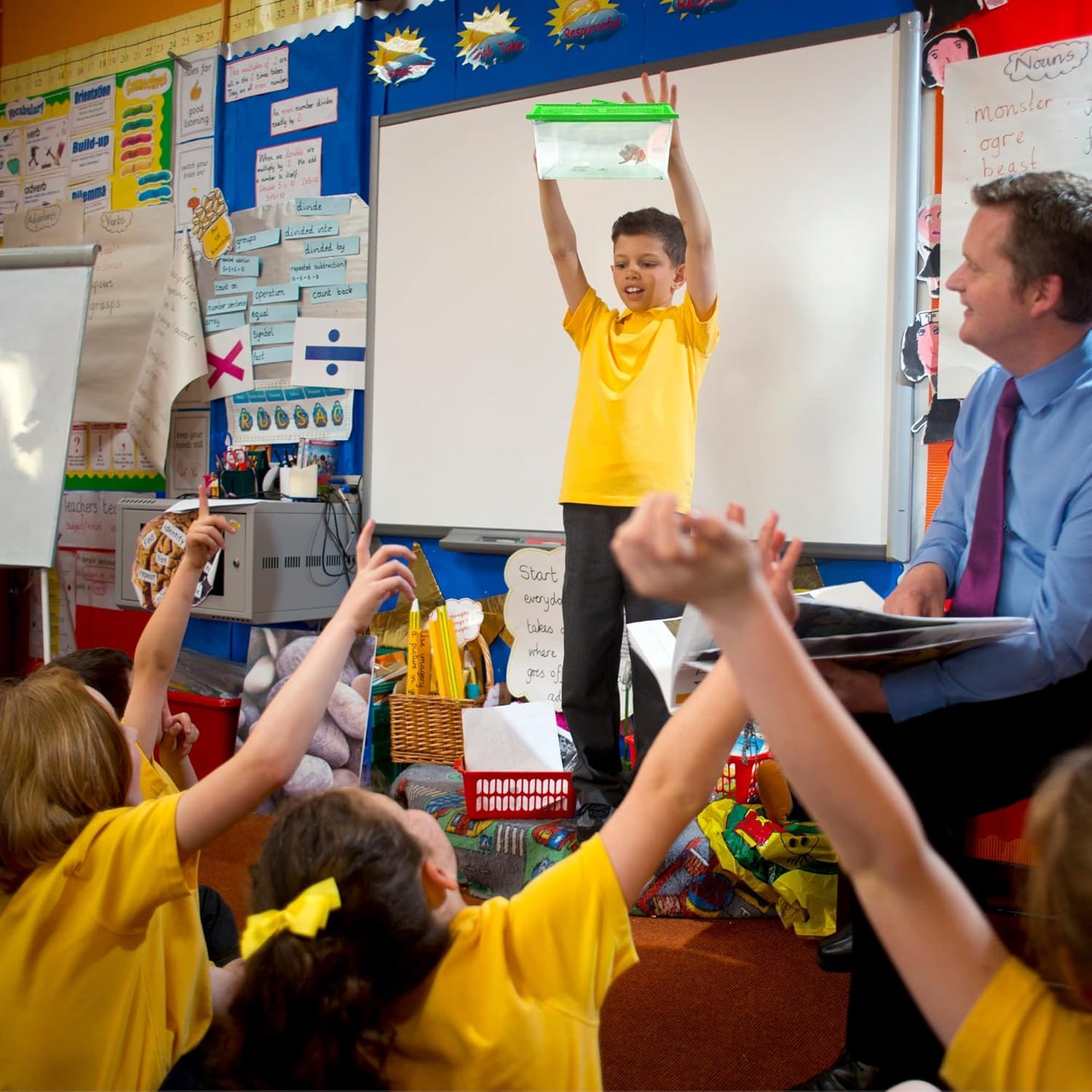 Needzo Mini Neon Plastic Reptile Carrier, Small Terrariums for Hermit Crabs, Lizards, and More with Palm Tree Accessory, Crab Hunting Supplies, Color May Vary, 7 Inches